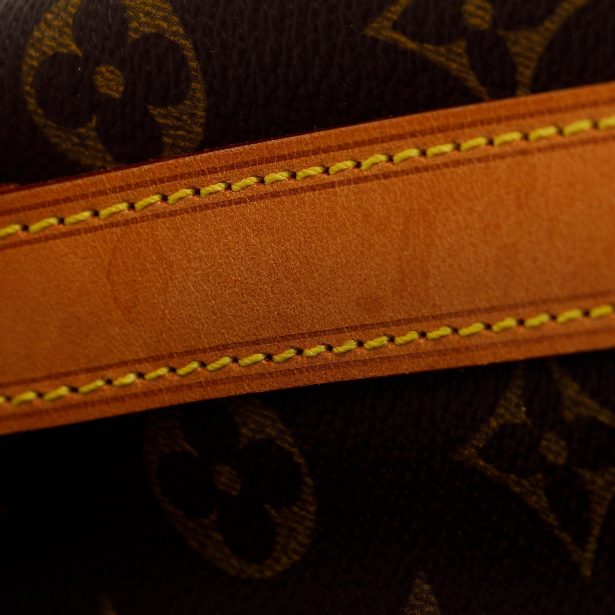 Louis Vuitton Monogram Petit Noe Bag