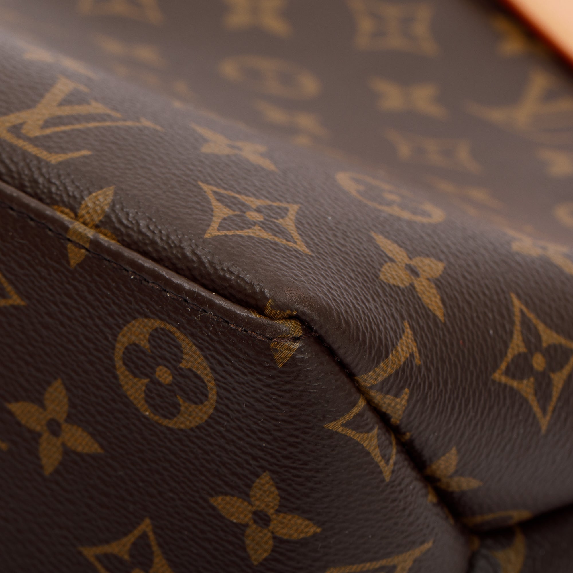 Louis Vuitton Monogram Petit Palais w/ Strap