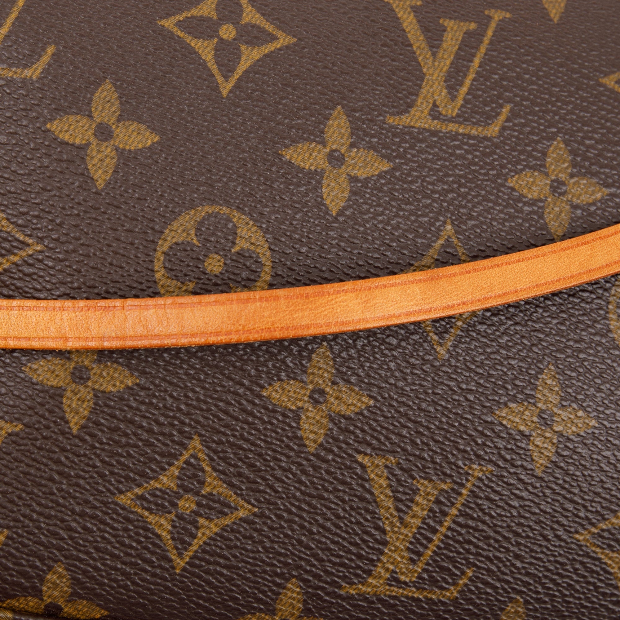Louis Vuitton Monogram Pochette Accessoires