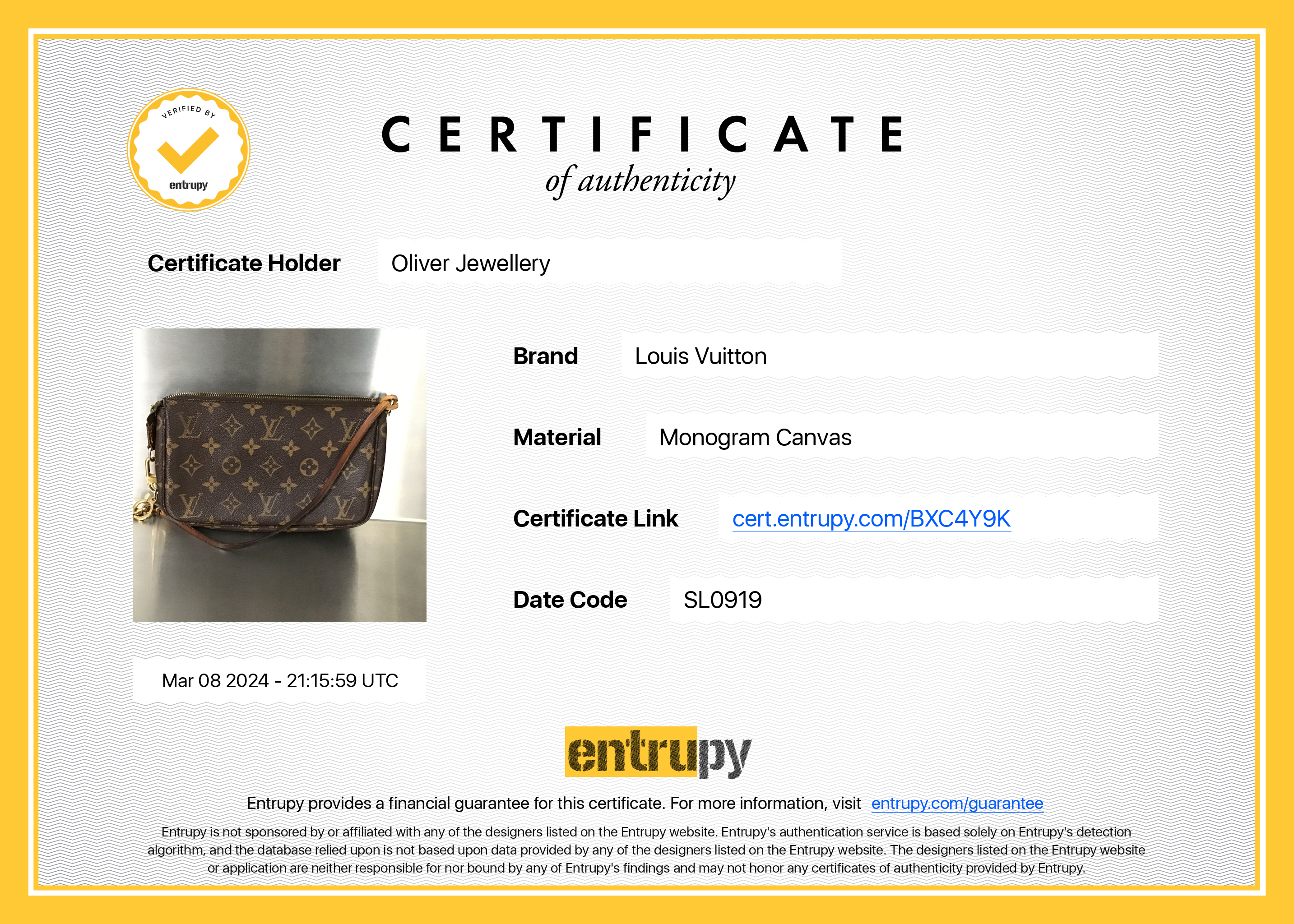 Louis Vuitton Monogram Pochette Accessories