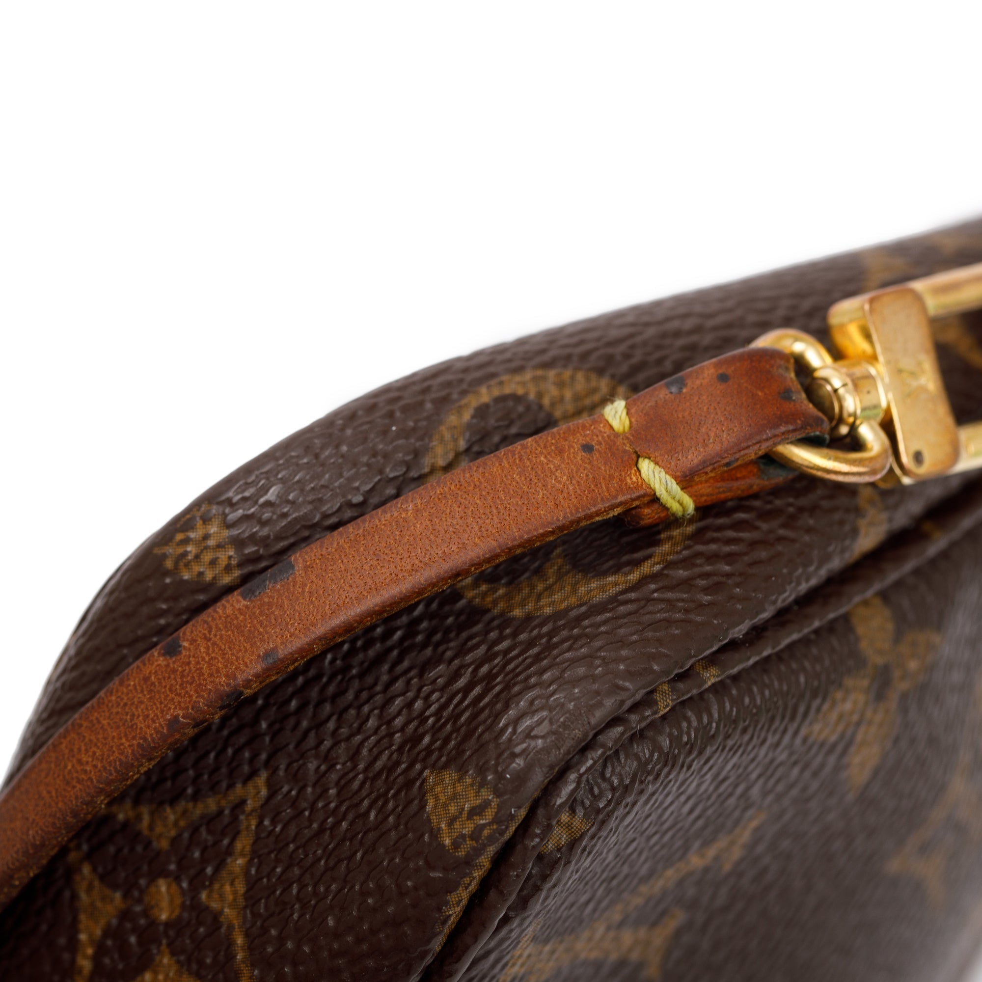 Louis Vuitton Monogram Pochette Accessories