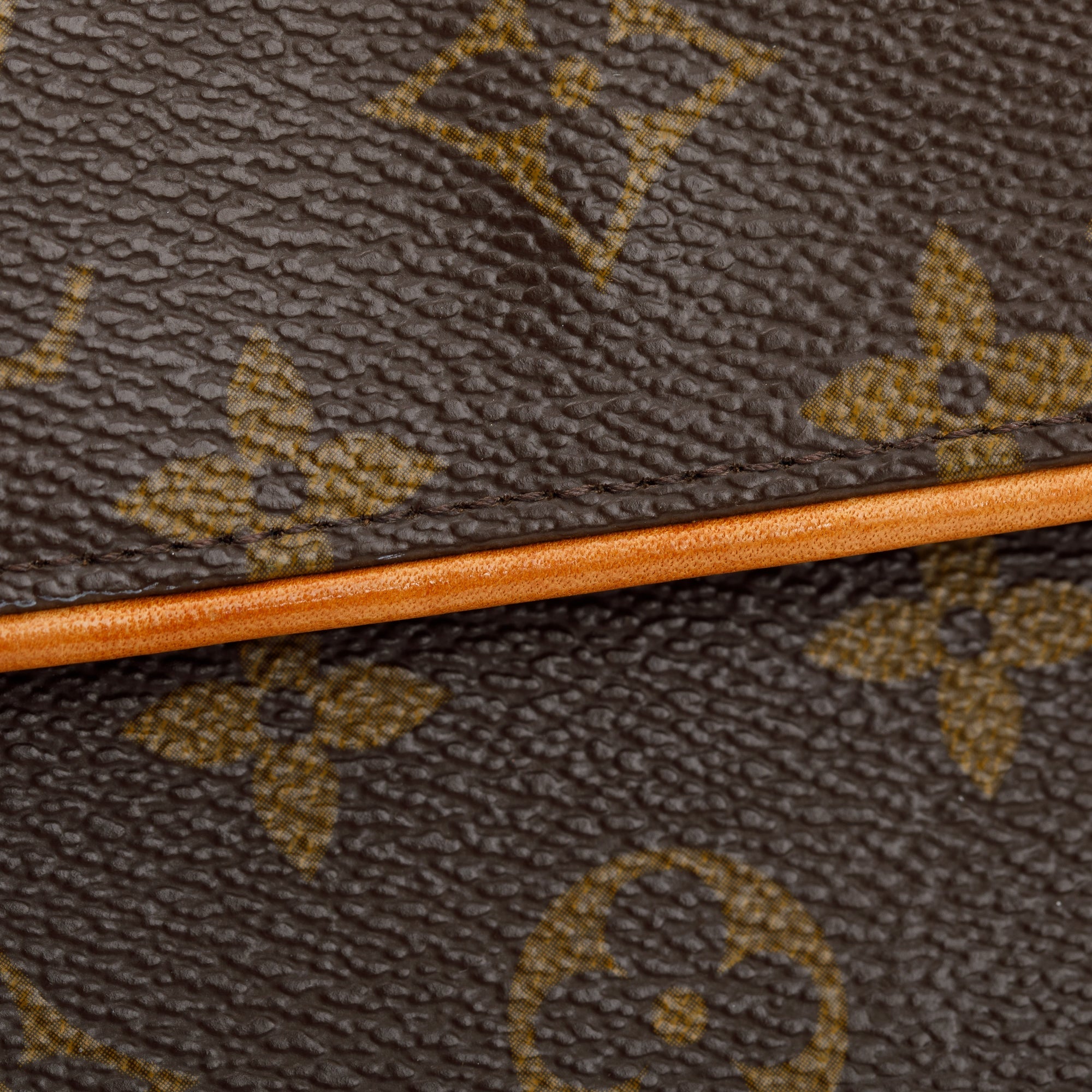 Louis Vuitton Monogram Pochette Florentine