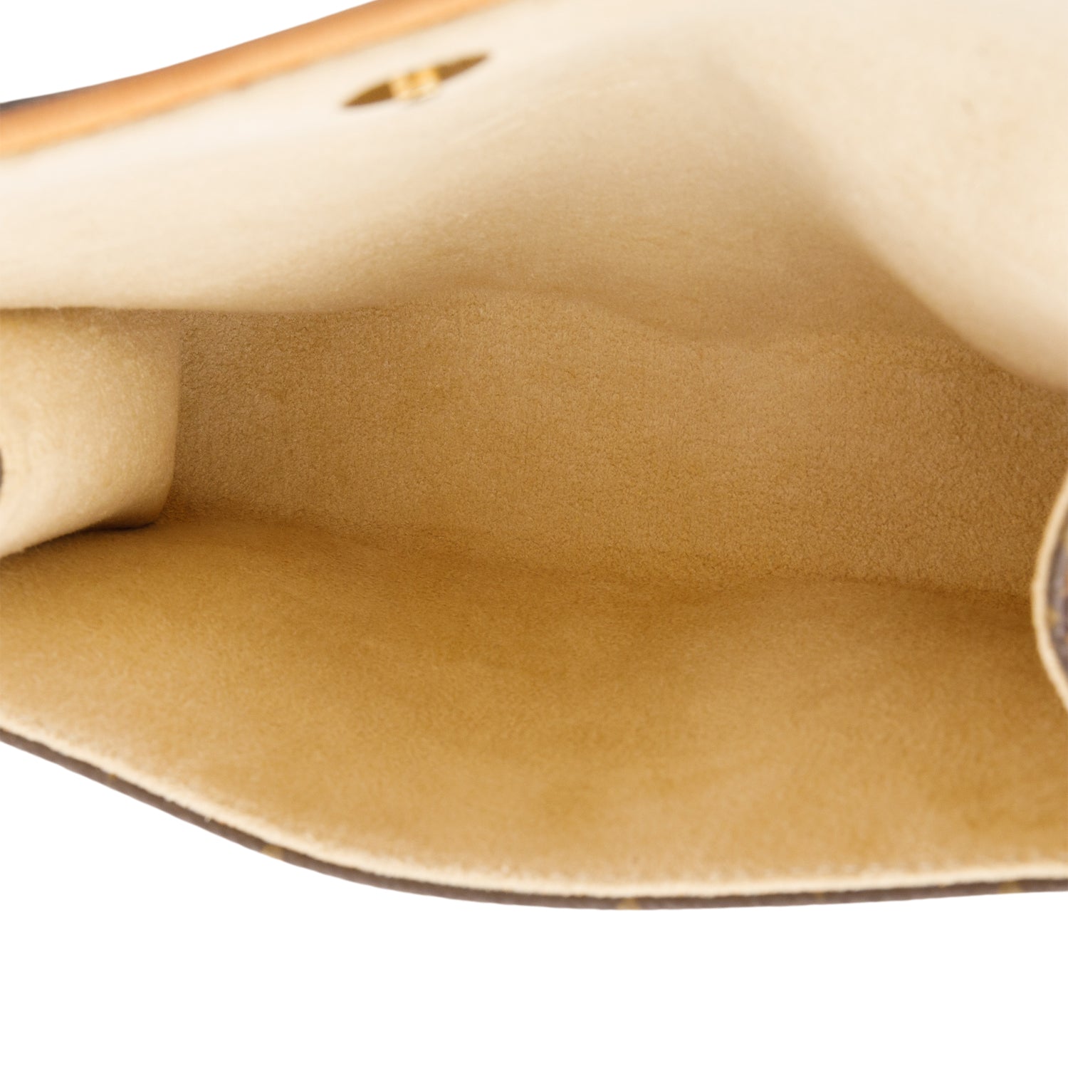 Louis Vuitton Monogram Pochette Florentine Belt bag