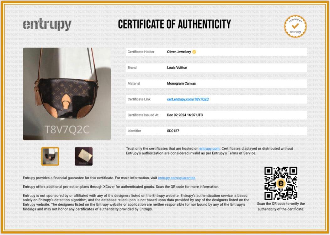 Louis Vuitton Monogram Saint Cloud NM Bag