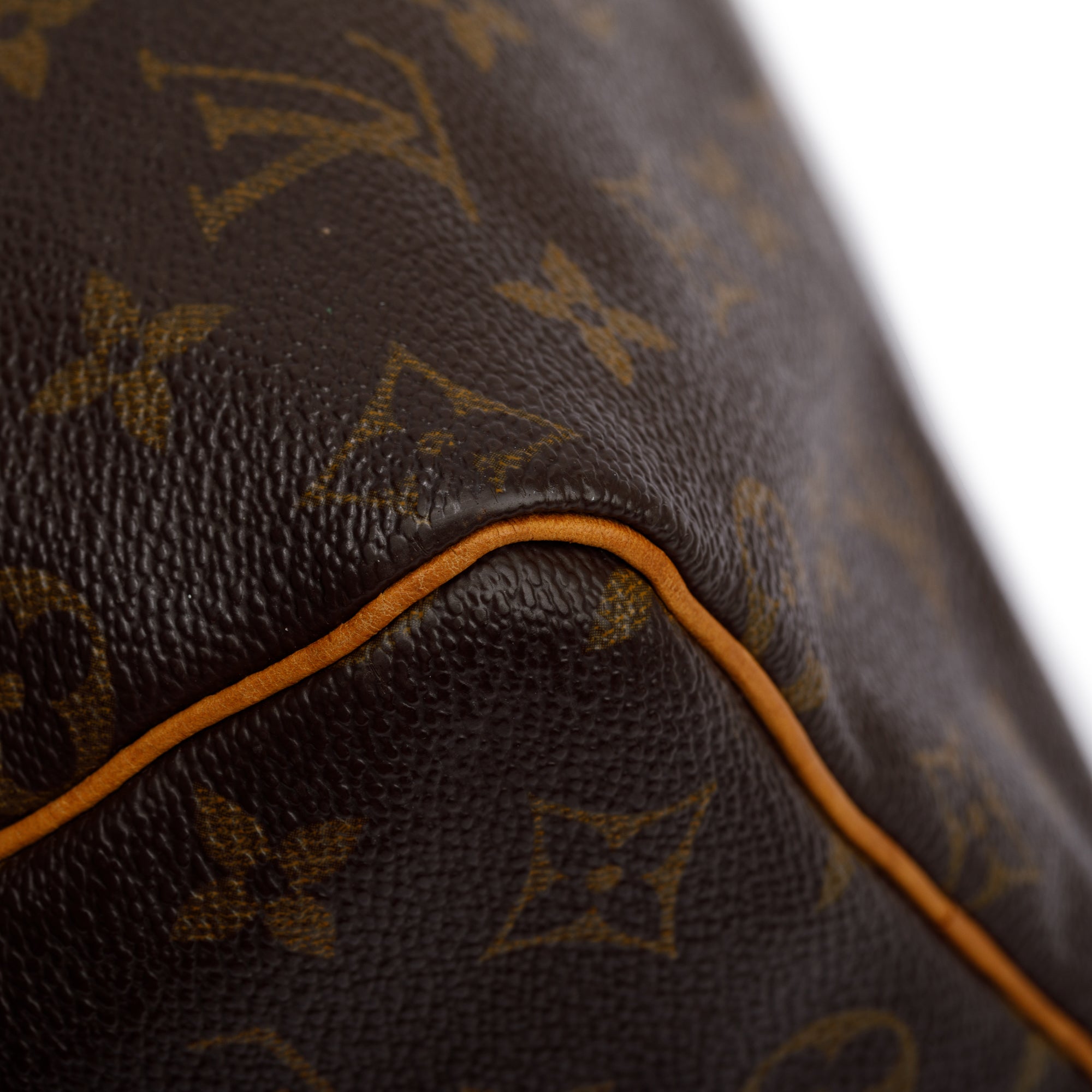 Louis Vuitton Monogram Speedy 25