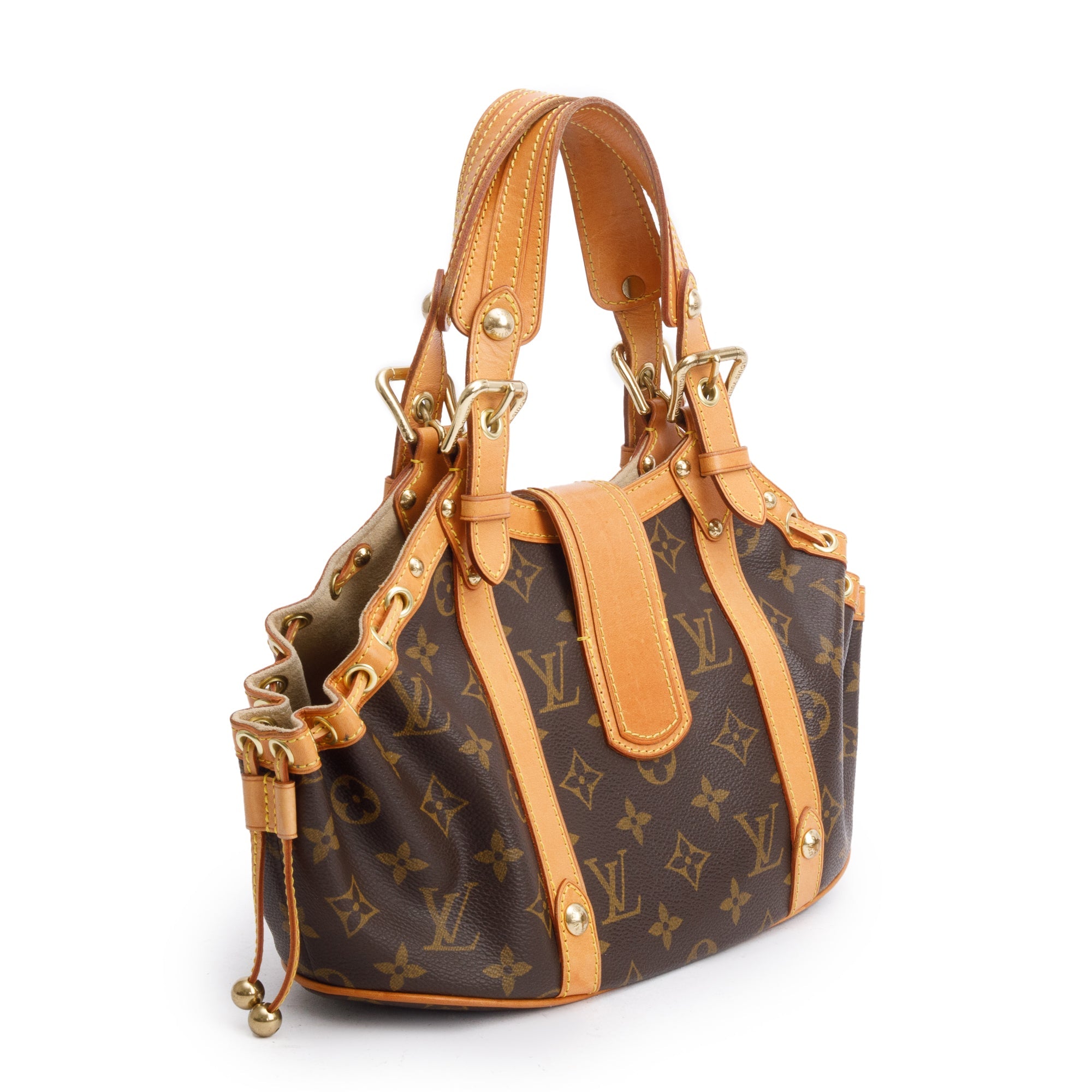 Louis Vuitton Monogram Theda PM