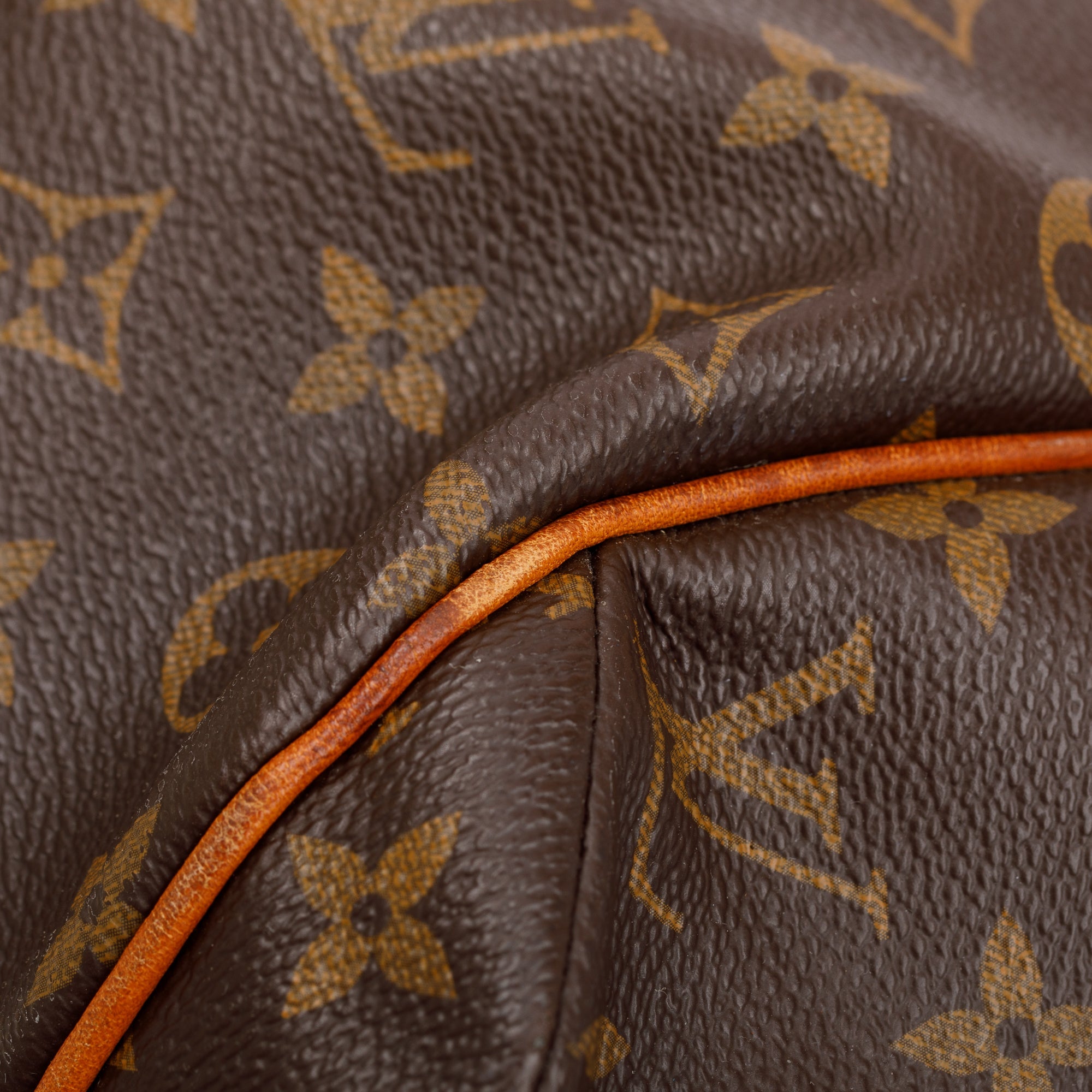Louis Vuitton Monogram Totally PM