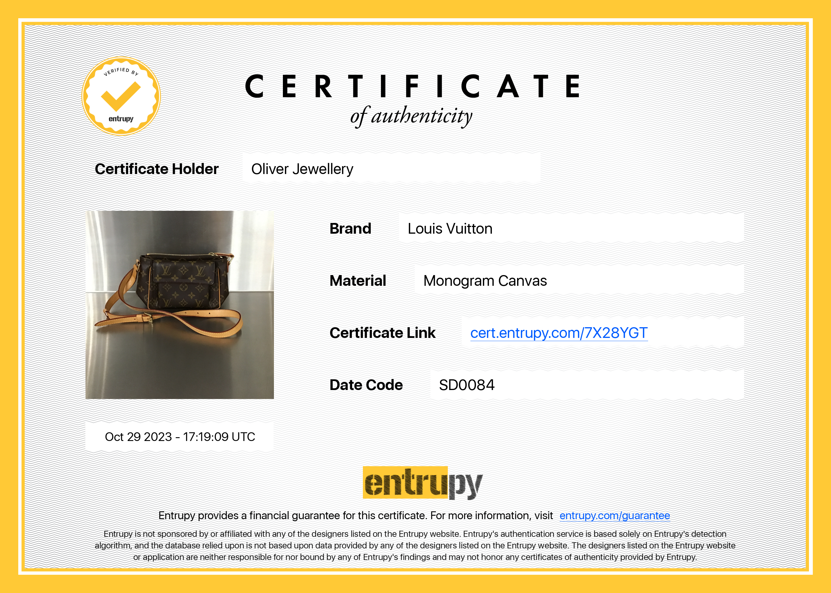 Louis Vuitton Monogram Viva Cite PM