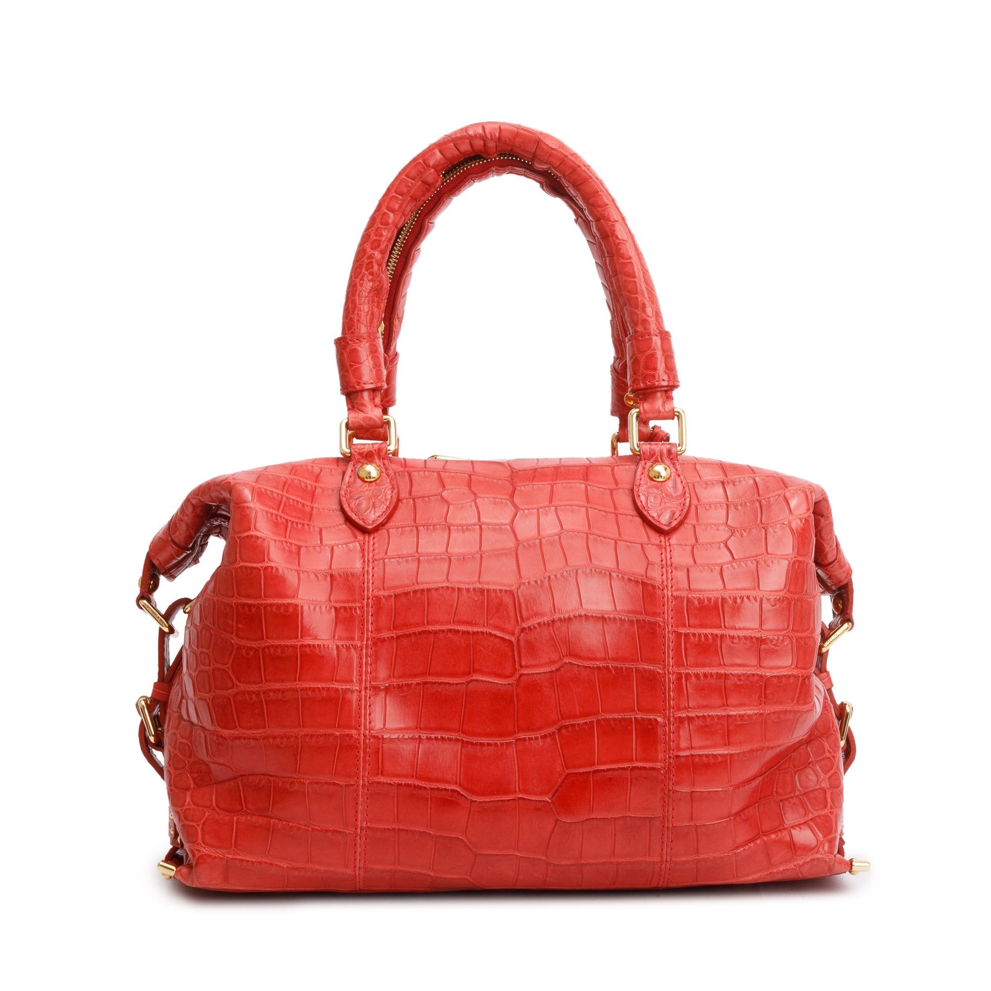 Louis Vuitton Red Crocodile Berkeley Bag