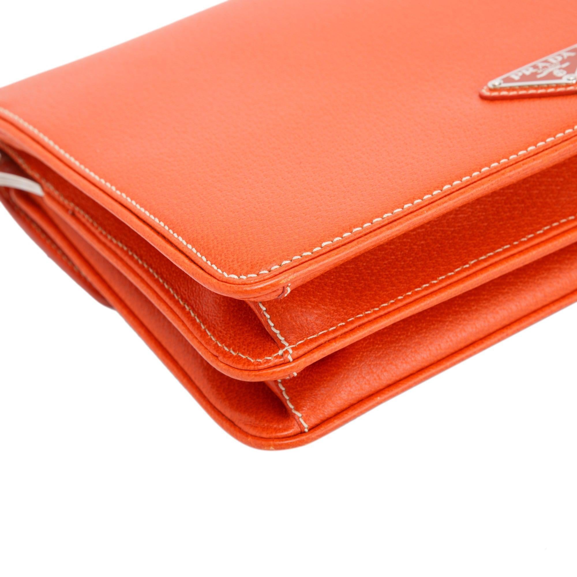 Prada Cinghiale Flap Shoulder Bag