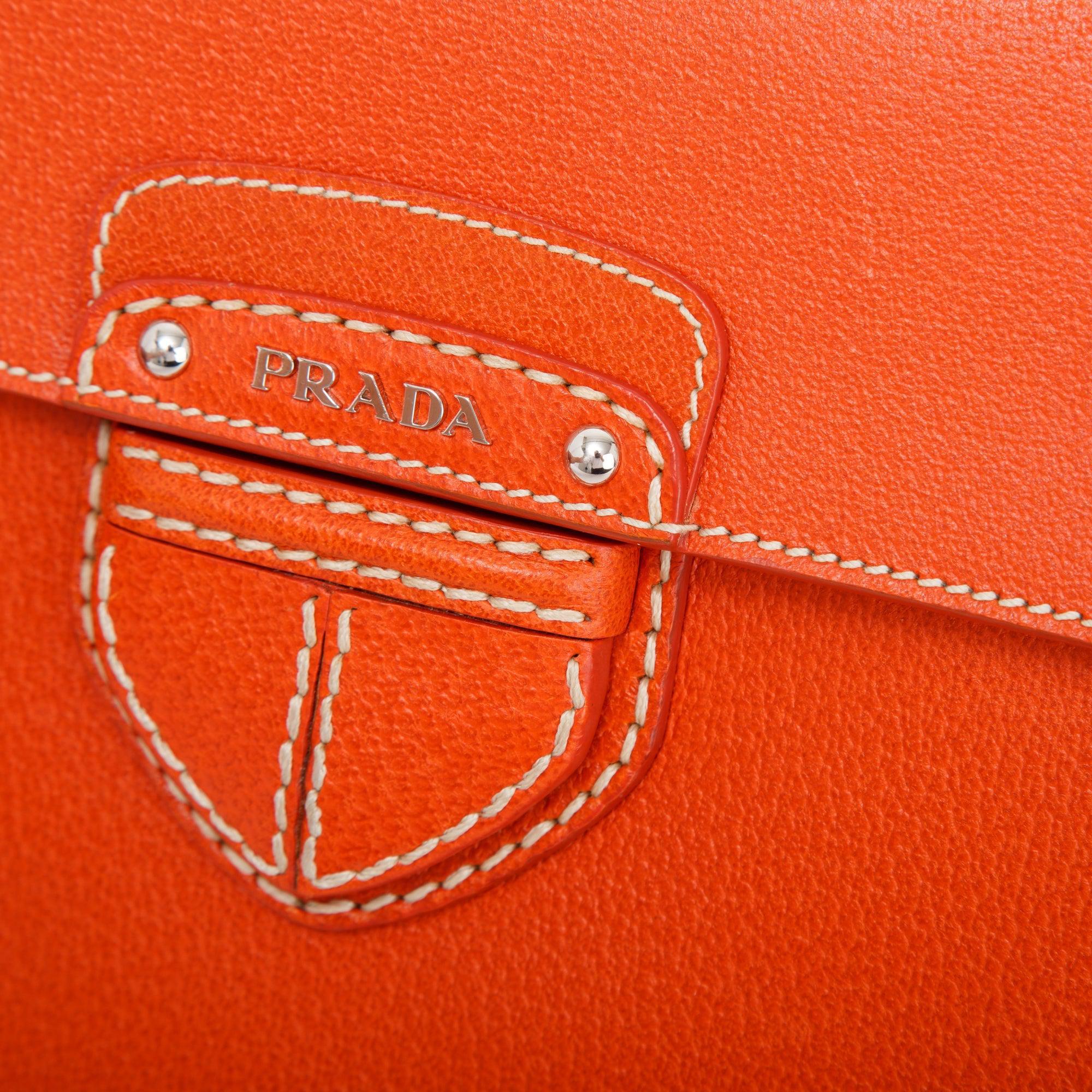 Prada Cinghiale Flap Shoulder Bag