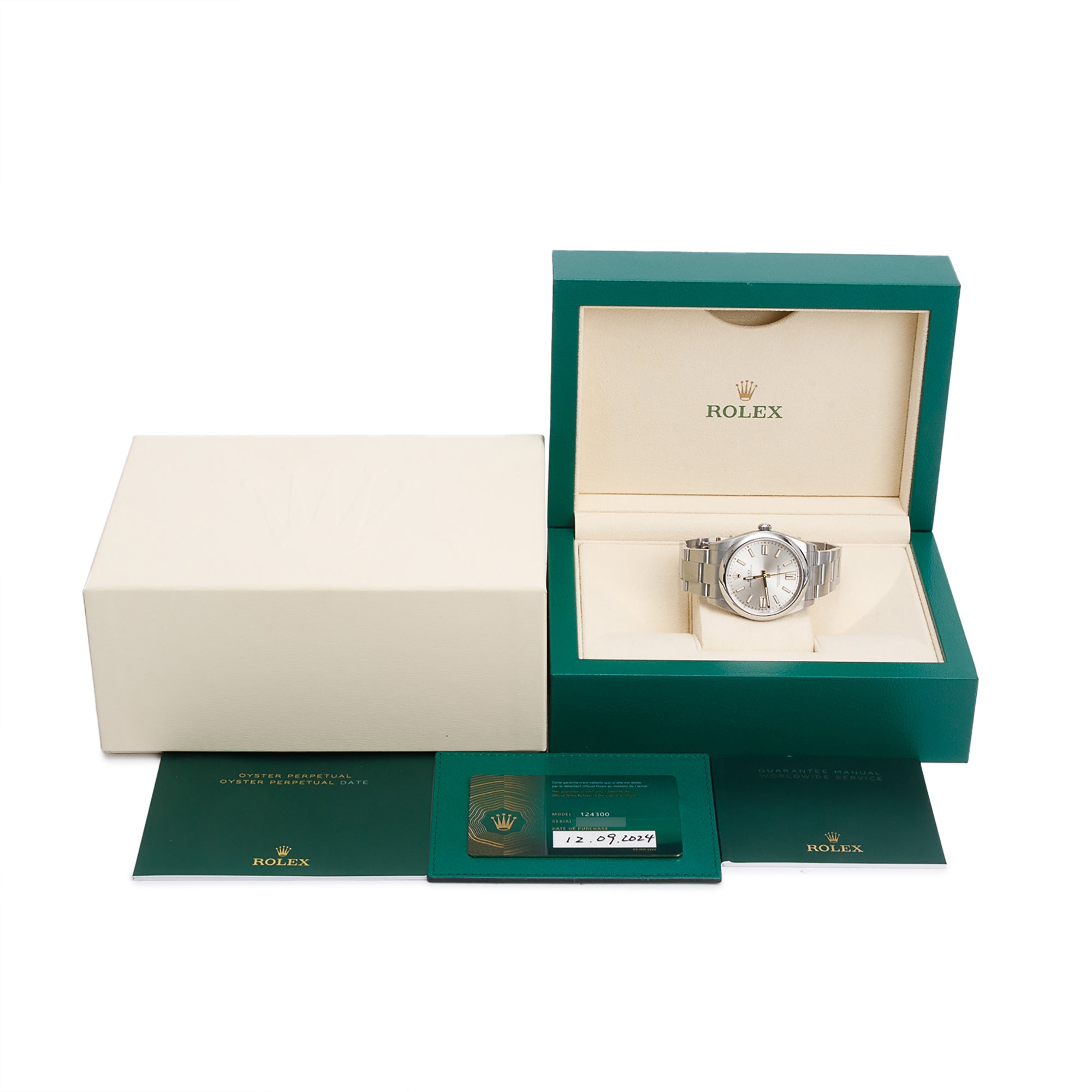 Rolex 2024 Stainless Steel Oyster Perpetual 41 MM Watch Silver Dial 124300 w/ Box, Receipt & Papers