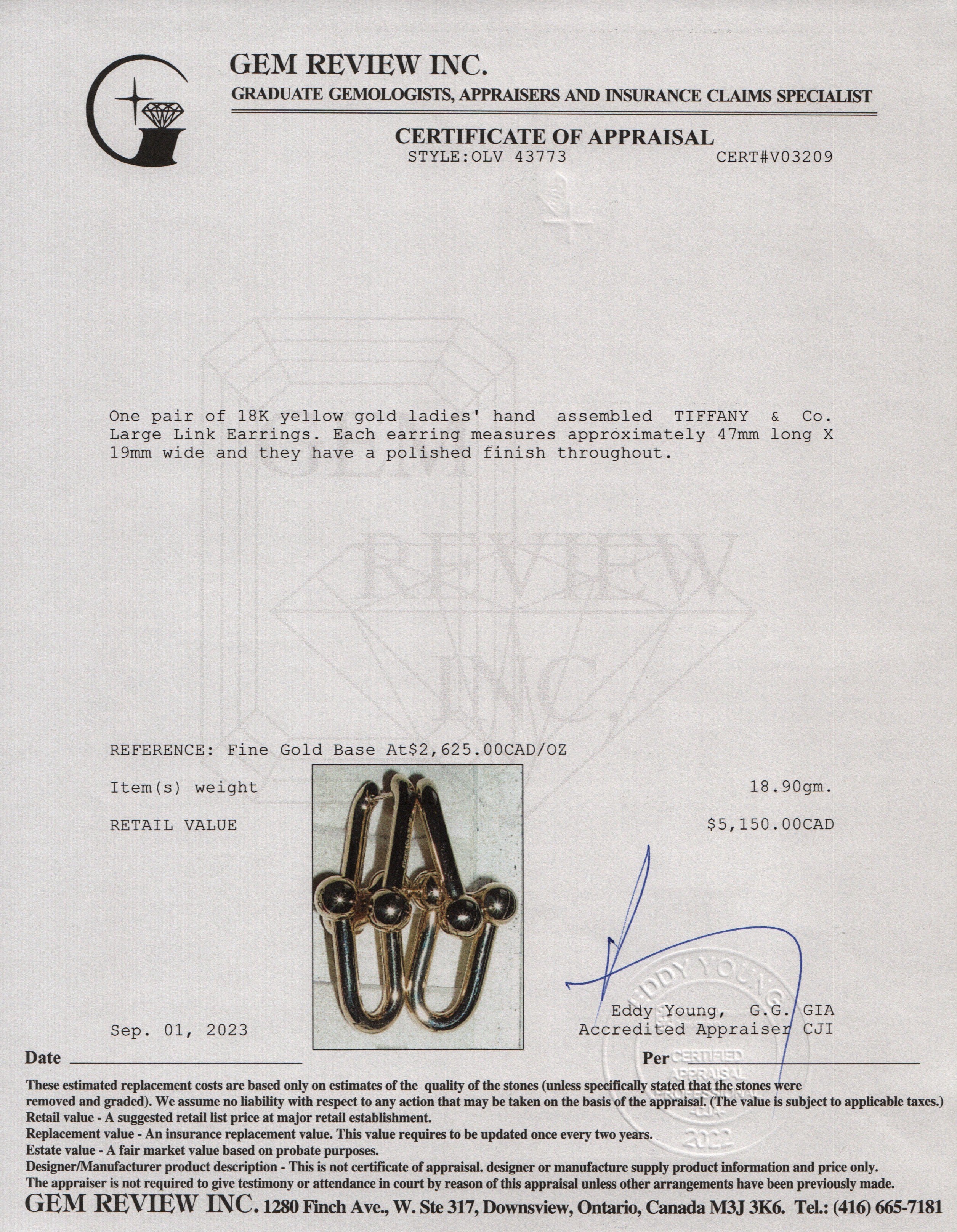 Tiffany & Co. 18k Yellow Gold HardWear Large Link Earrings