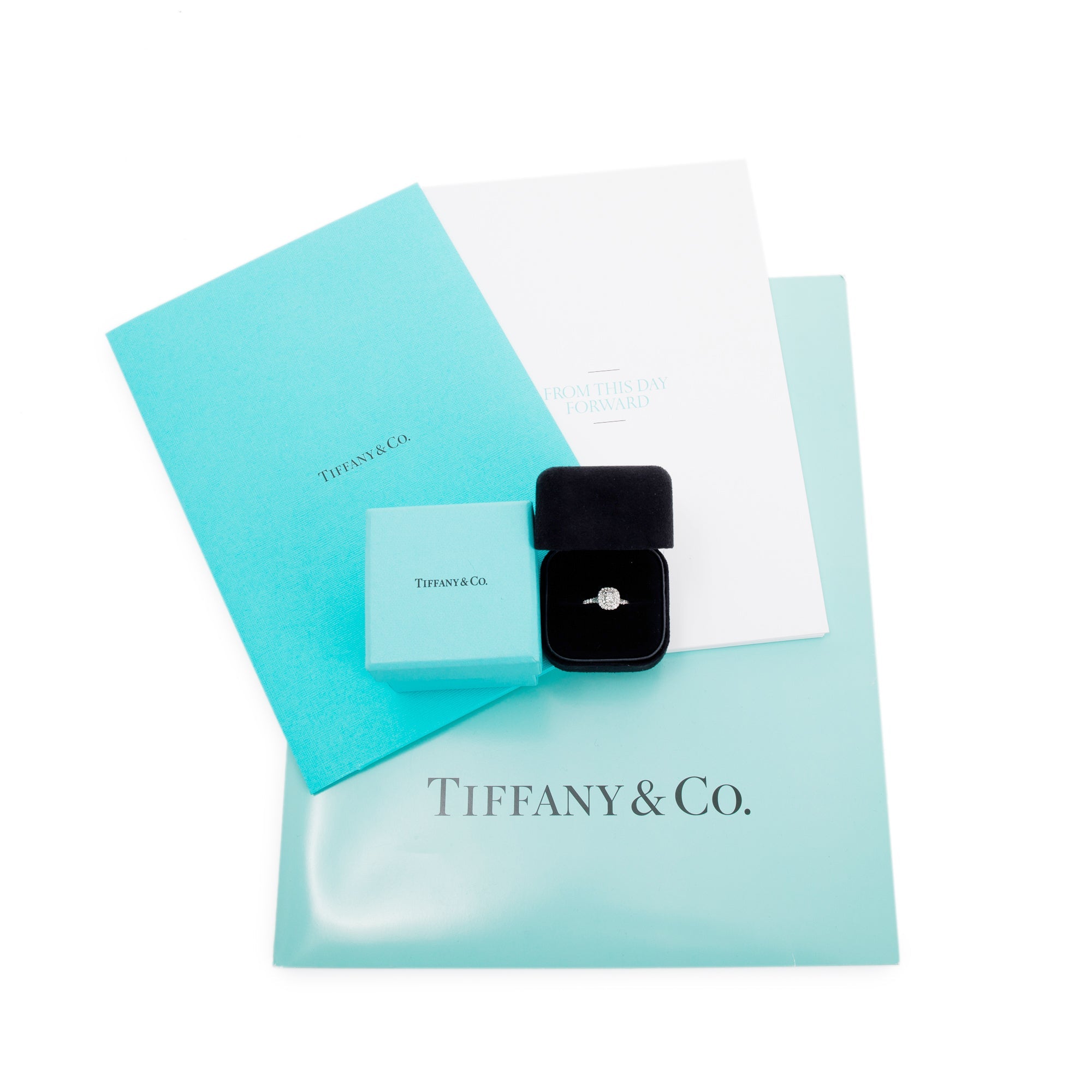 Tiffany & Co. Platinum Cushion-Cut Diamond Soleste Double Halo Engagement Ring w/ Box & Papers