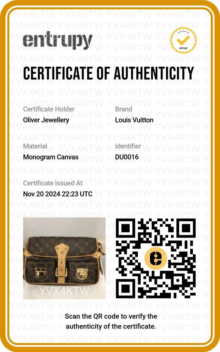 Louis Vuitton Monogram Hudson PM