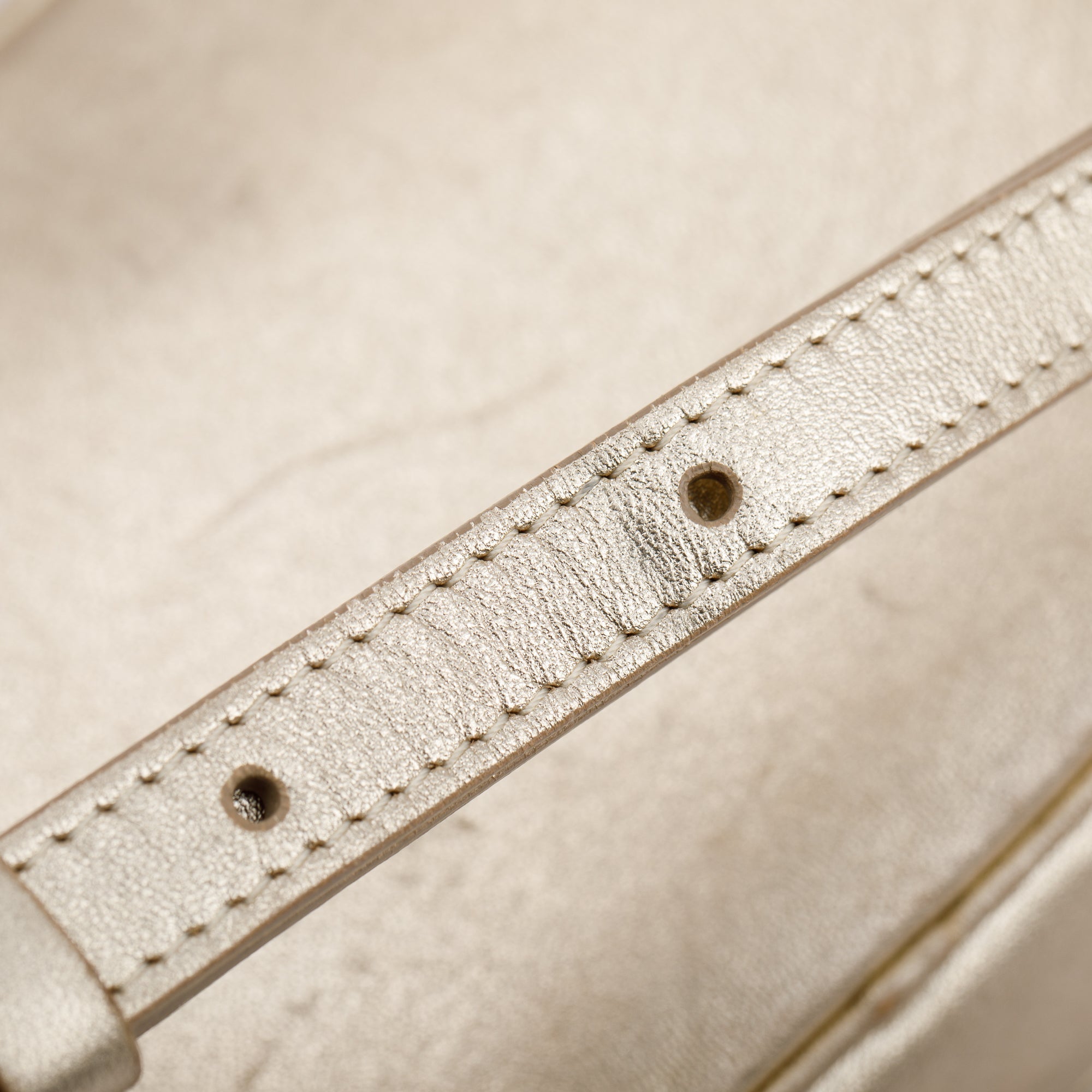 Versace Metallic Gold Palazzo Camera Bag