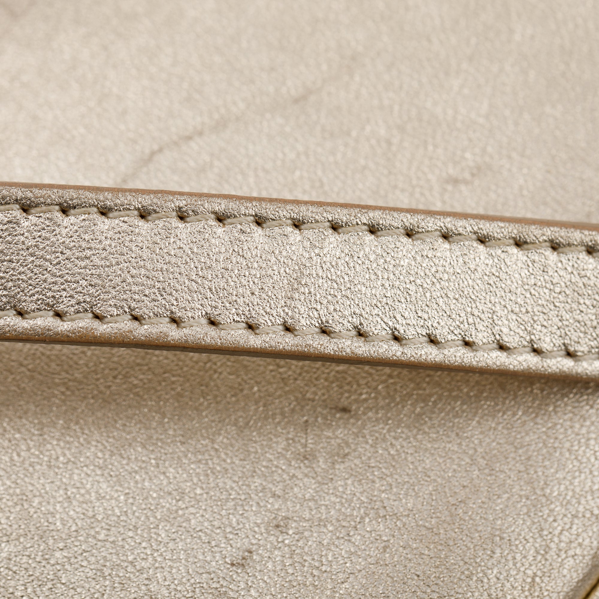 Versace Metallic Gold Palazzo Camera Bag