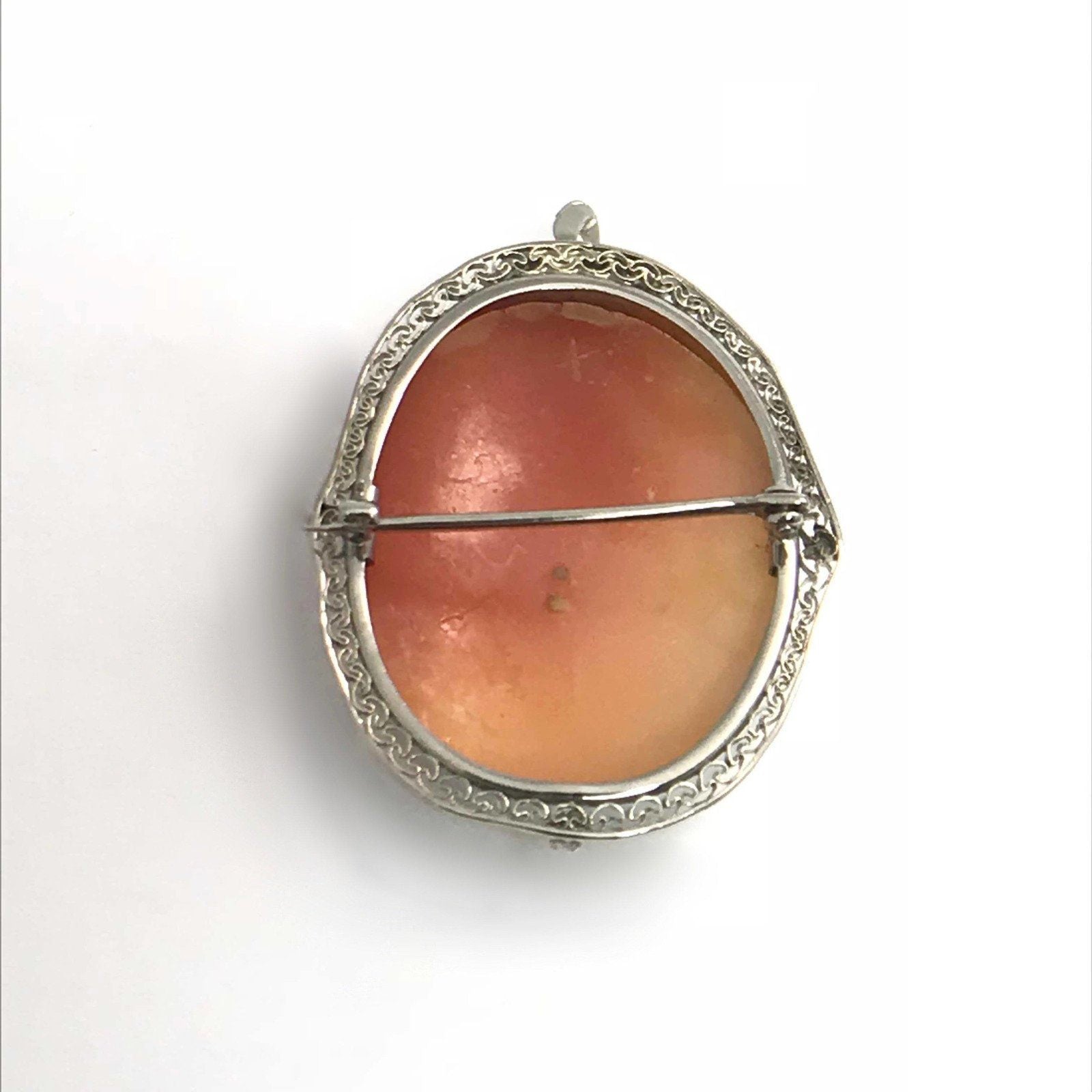 10 Karat White Gold Cameo Brooch-Pendant