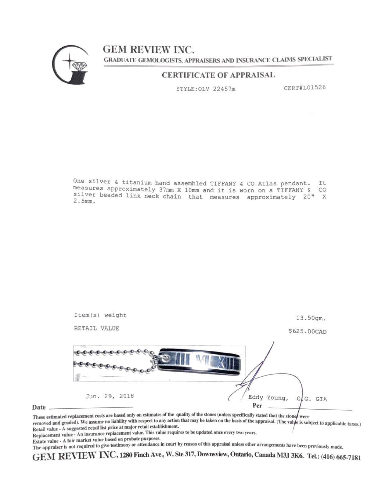 Tiffany & Co. Titanium Atlas Pendant Necklace