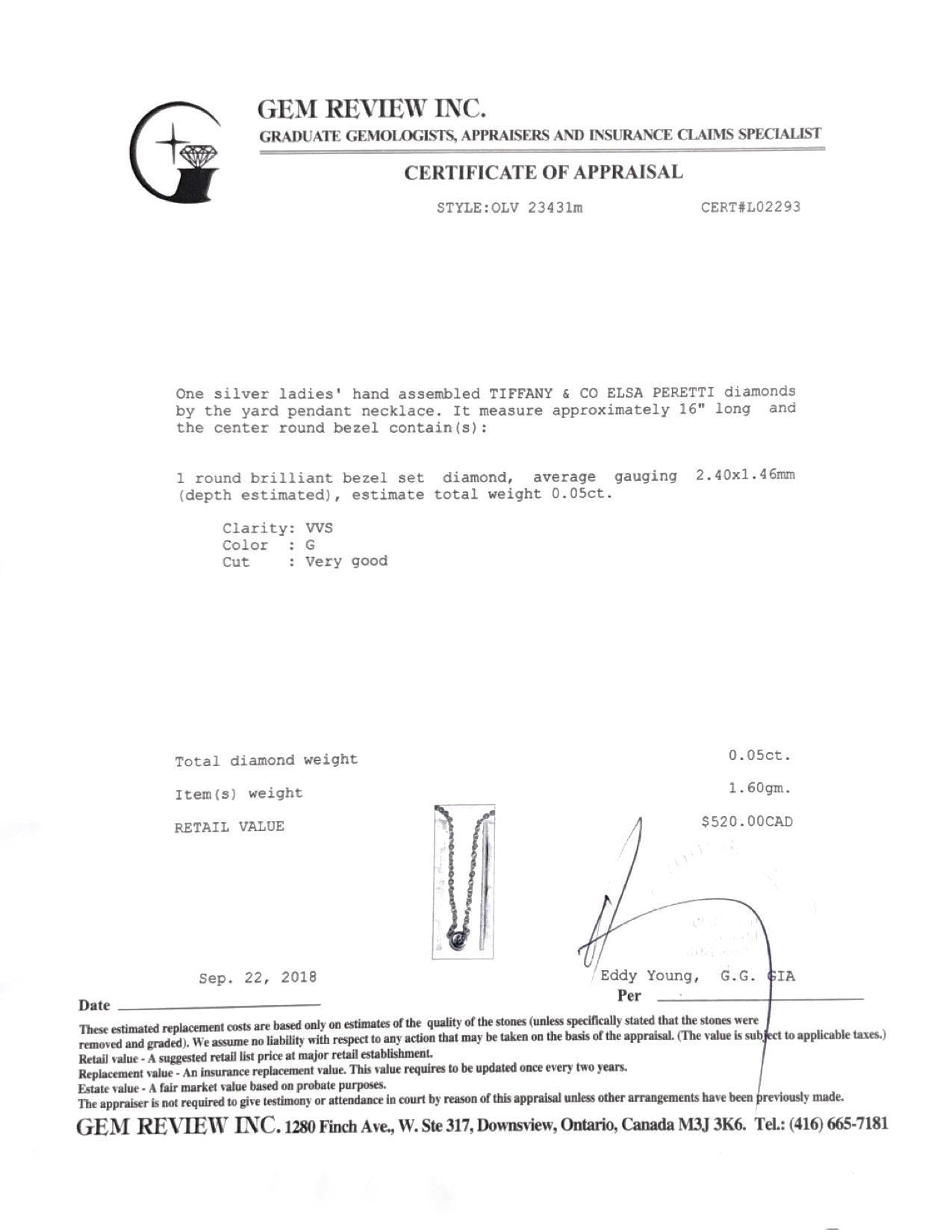 Tiffany & Co. Elsa Peretti Diamonds by the Yard Pendant Necklace