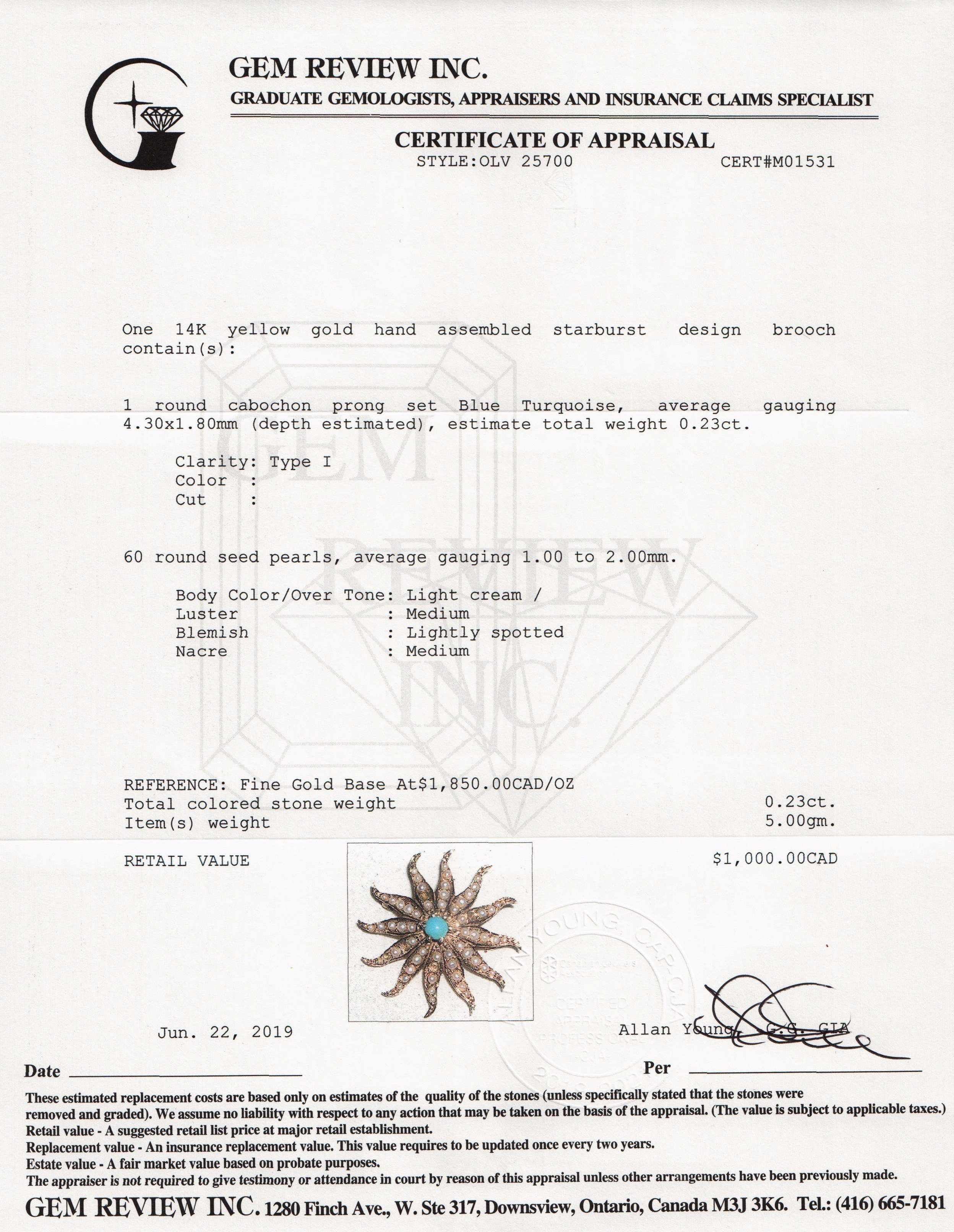 Antique Starburst Brooch with Turquoise & Seed Pearls