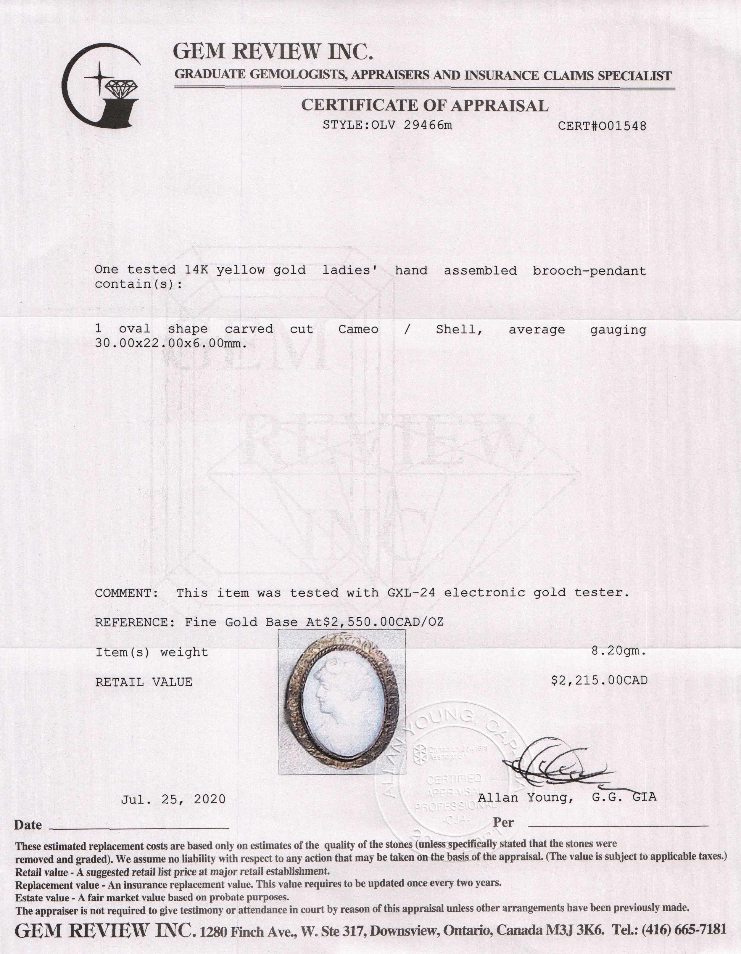 Antique Cameo Brooch/Pendant