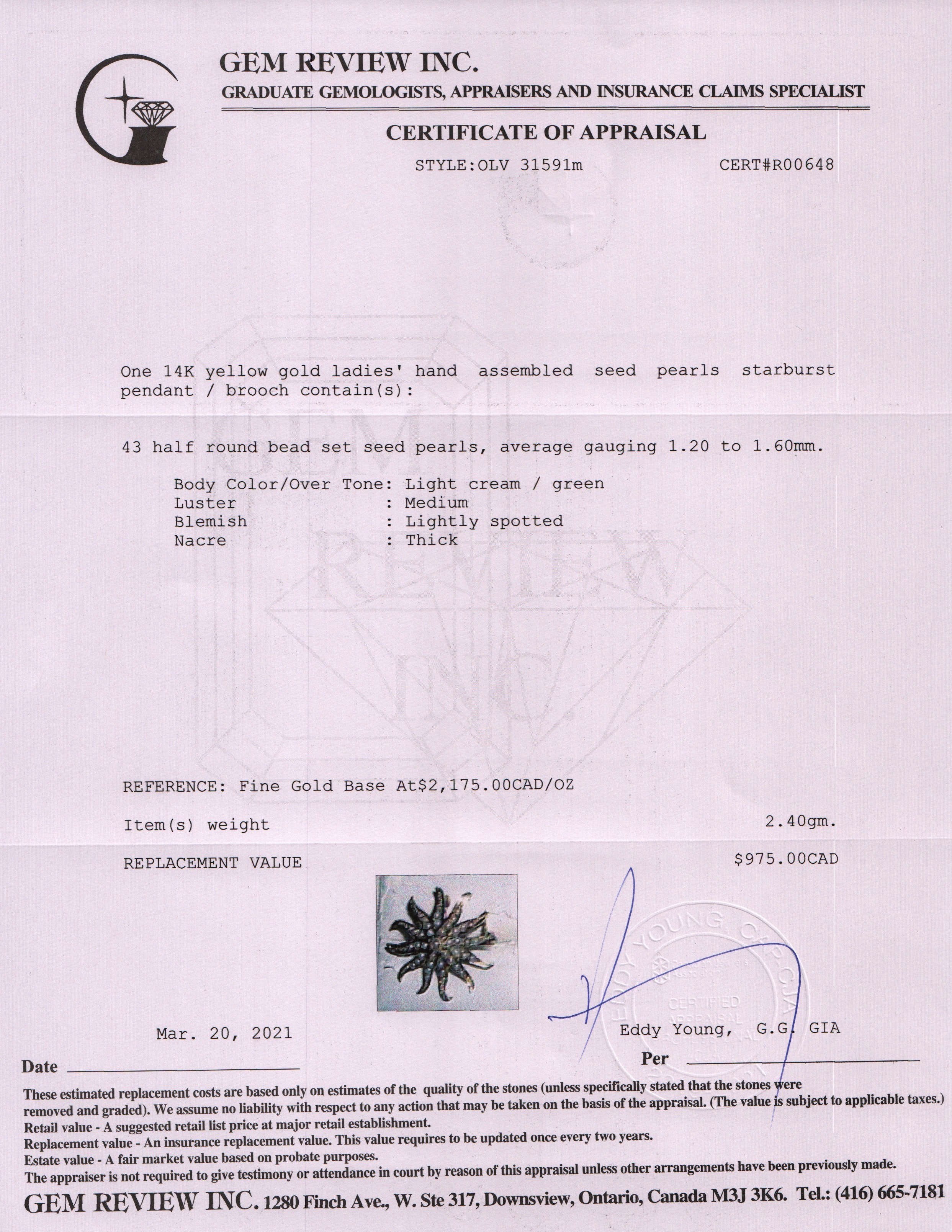 Antique Sunburst Seed Pearl Brooch/Pendant