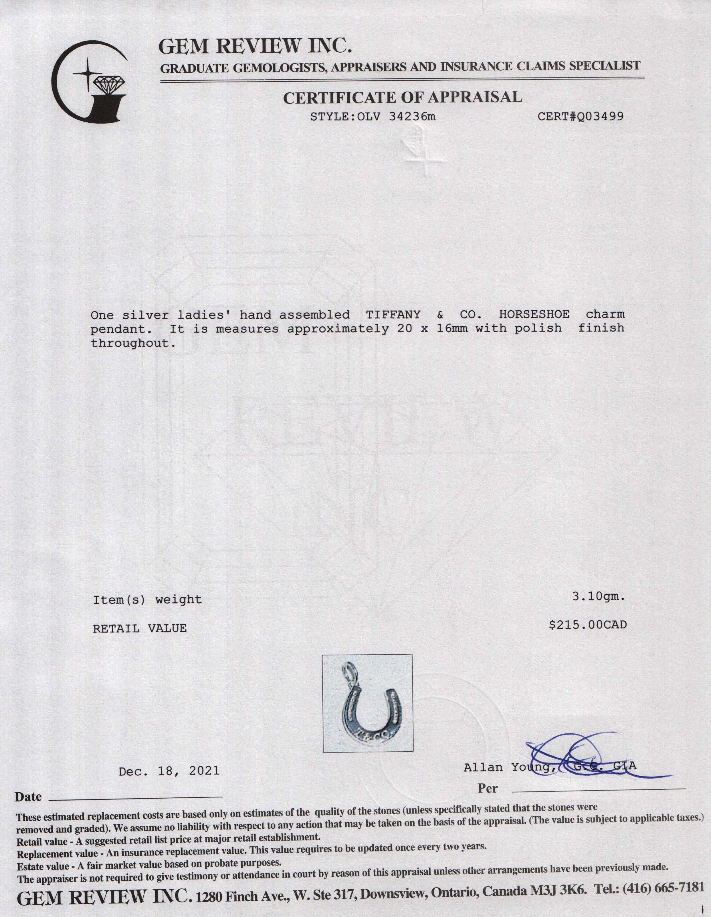 Tiffany & Co. Horseshoe Charm