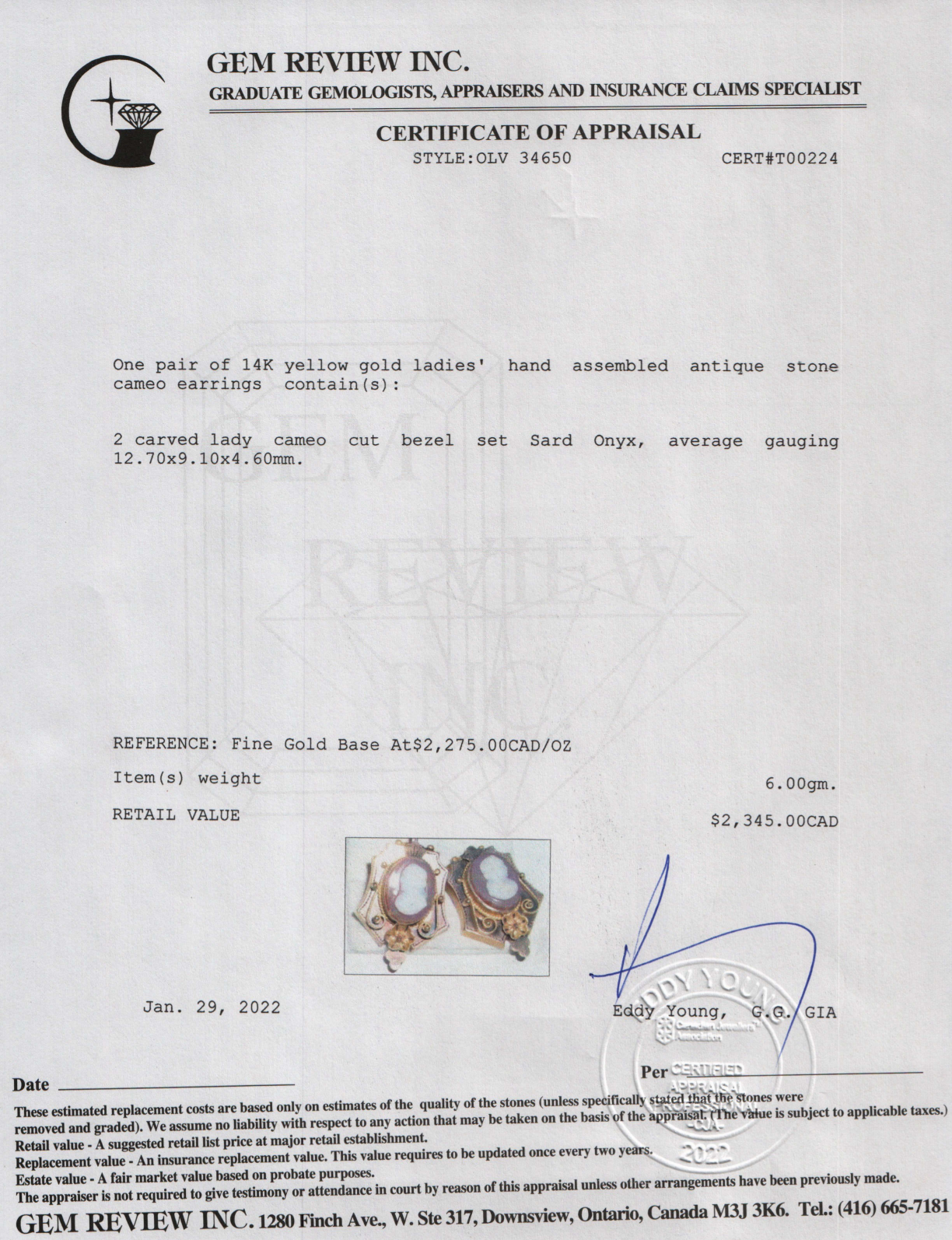 Antique Cameo Earrings