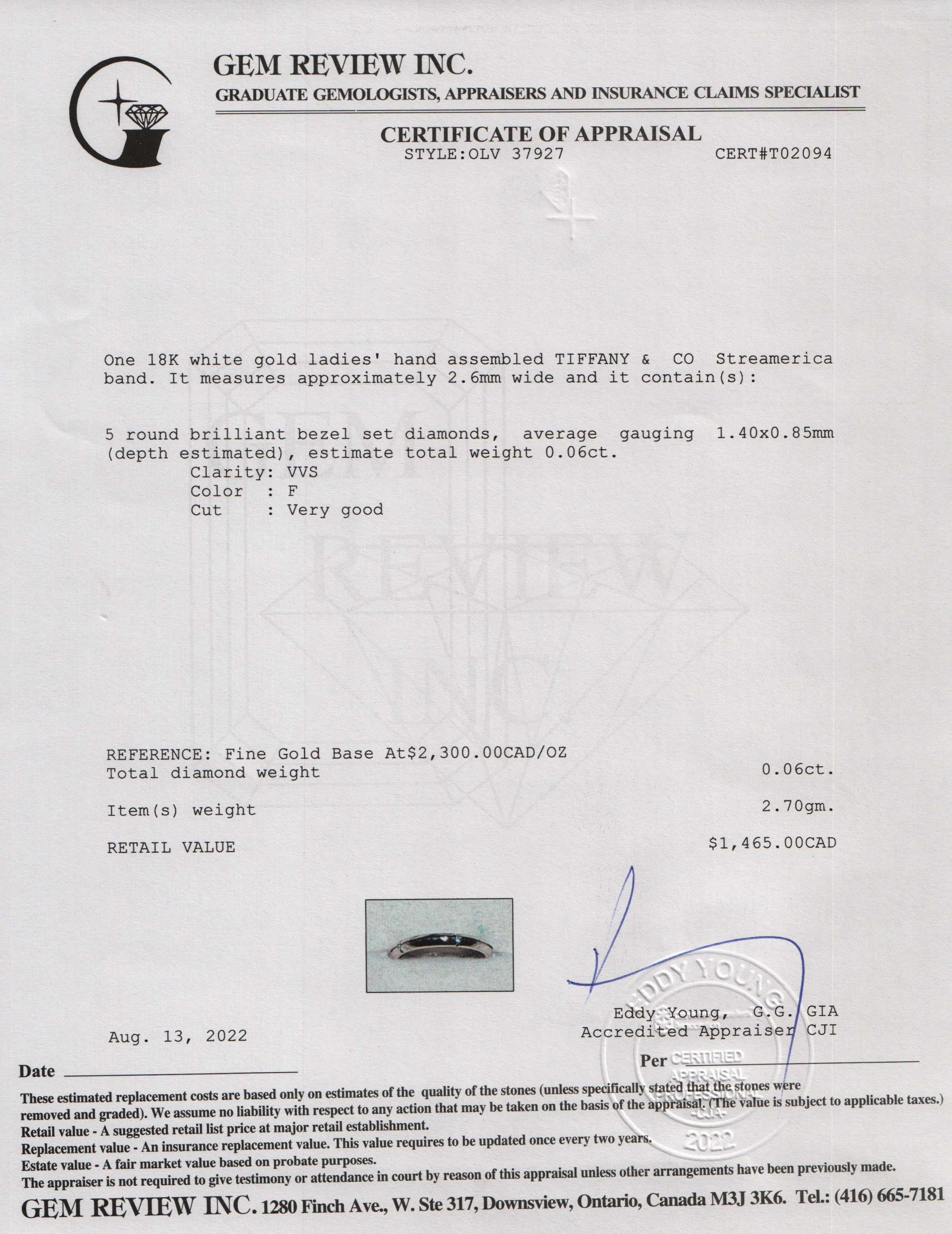 Tiffany & Co. 18k White Gold Streamerica Diamond Band Ring w/ Box