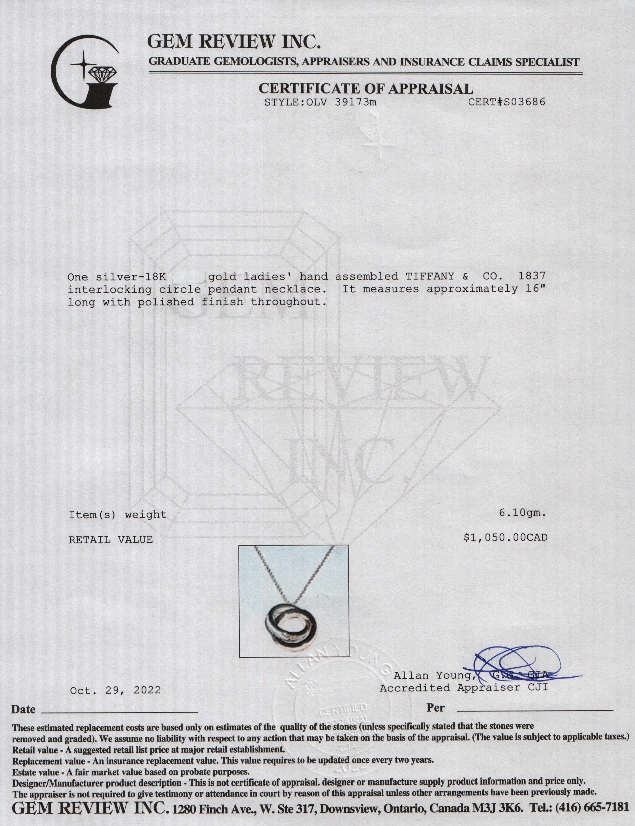 Tiffany & Co. Two-Tone 1837 Interlocking Circles Pendant Necklace