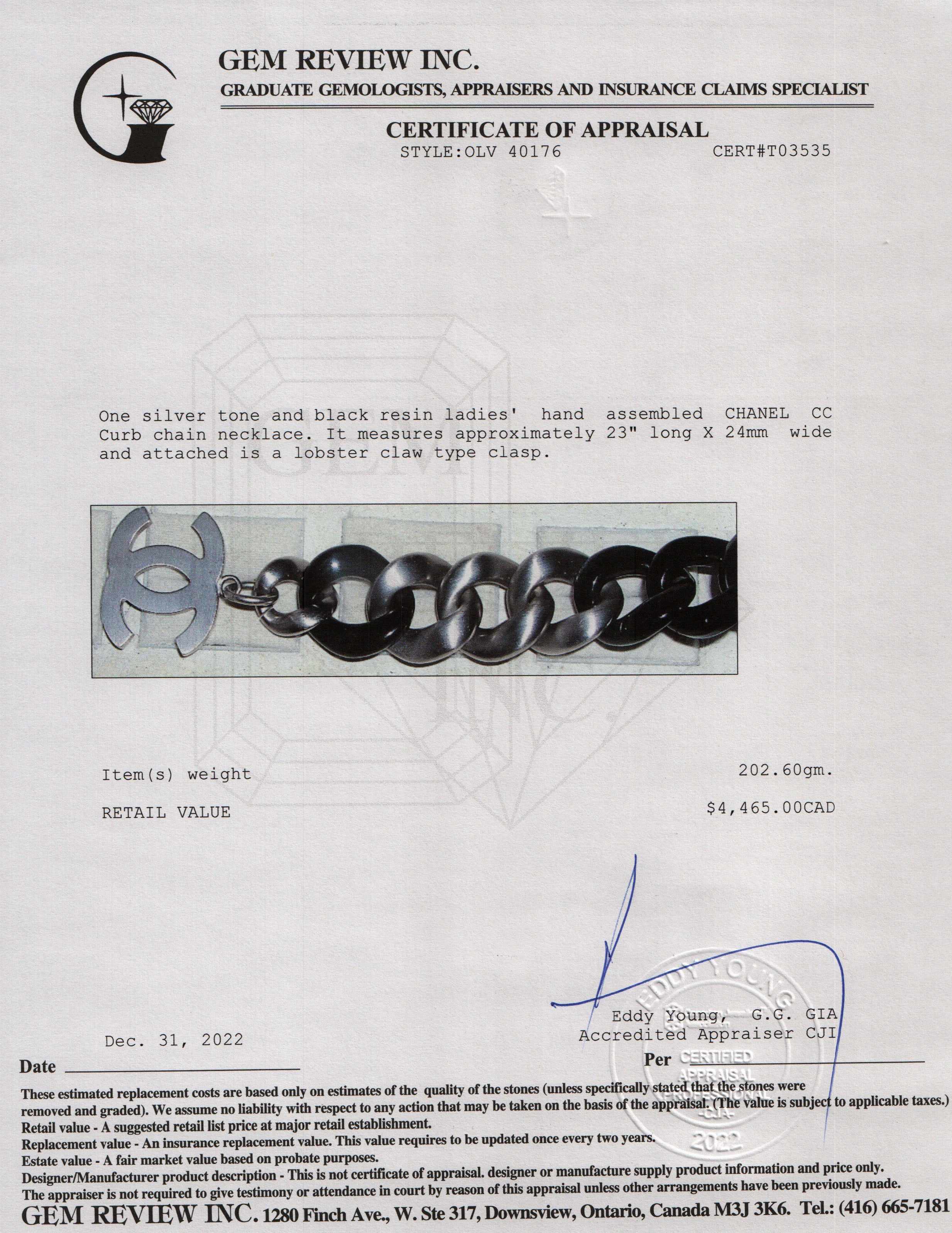 Chanel Resin CC Curb Chain Necklace