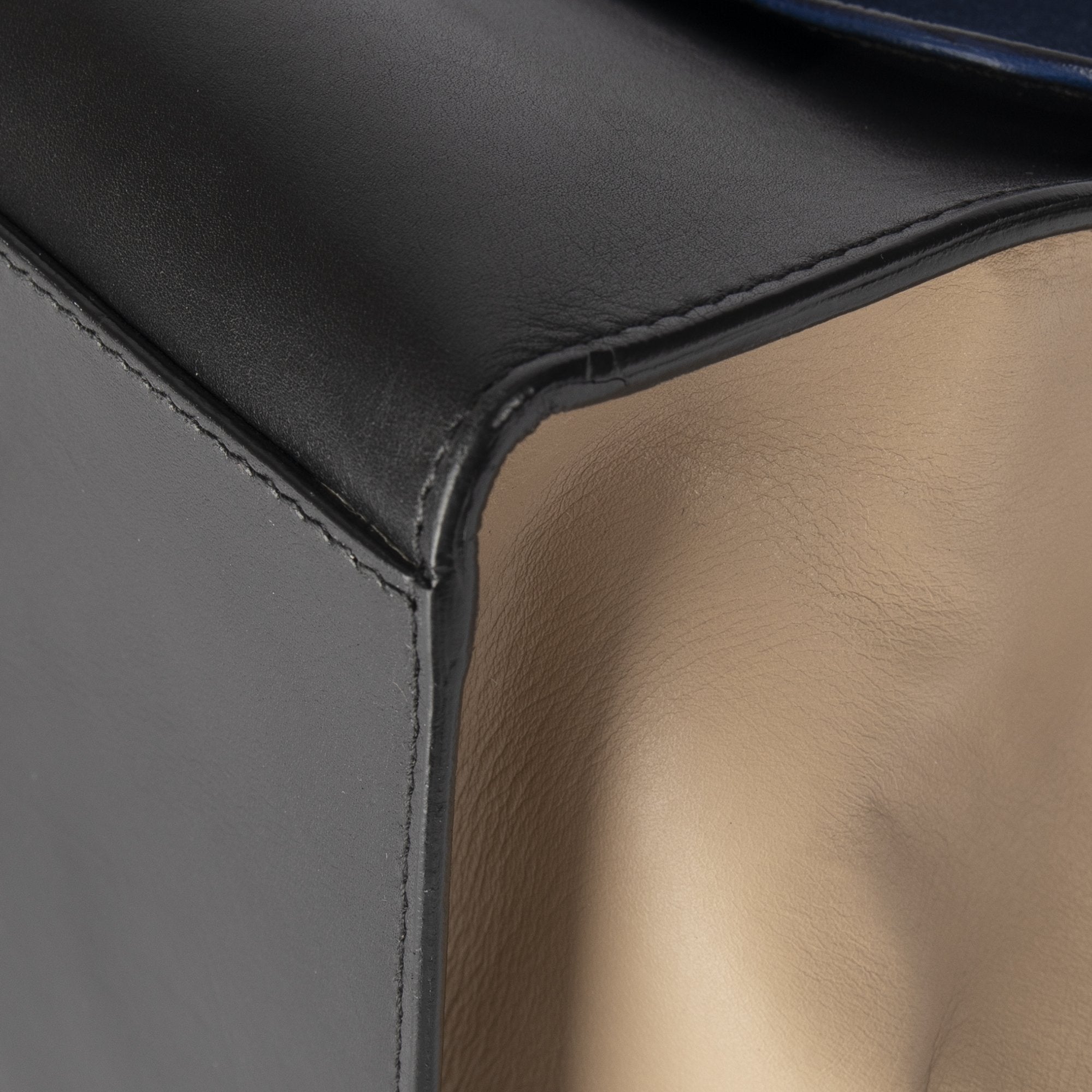 Celine Medium Tricolor Trapeze Bag