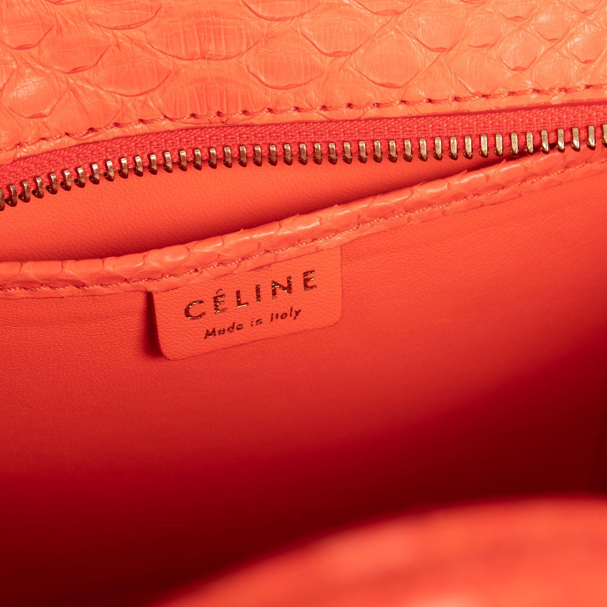 Celine Python Nano Luggage Tote