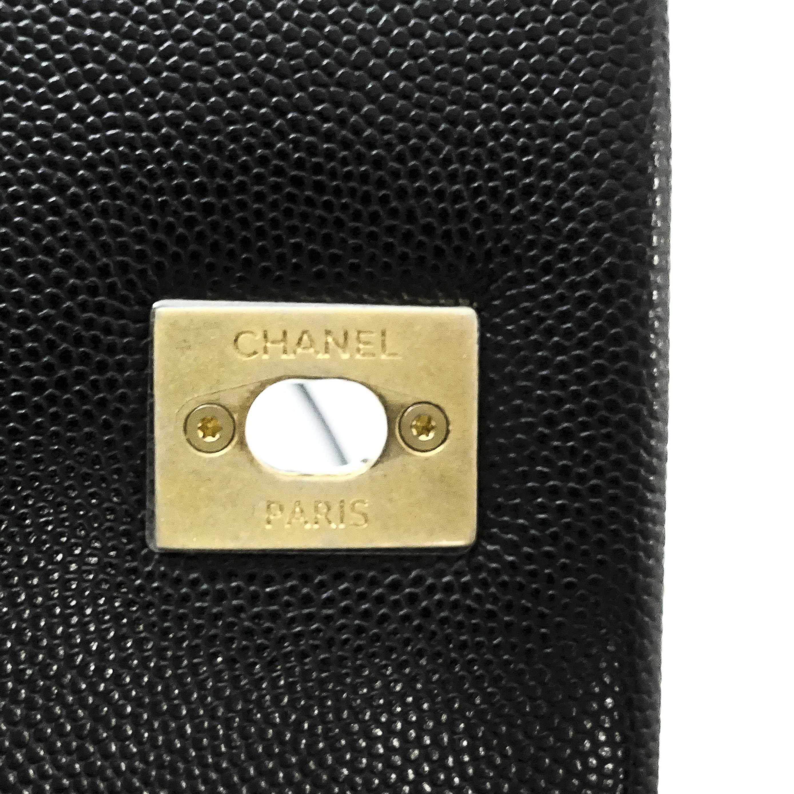 Chanel Coco Lizard Handle Bag
