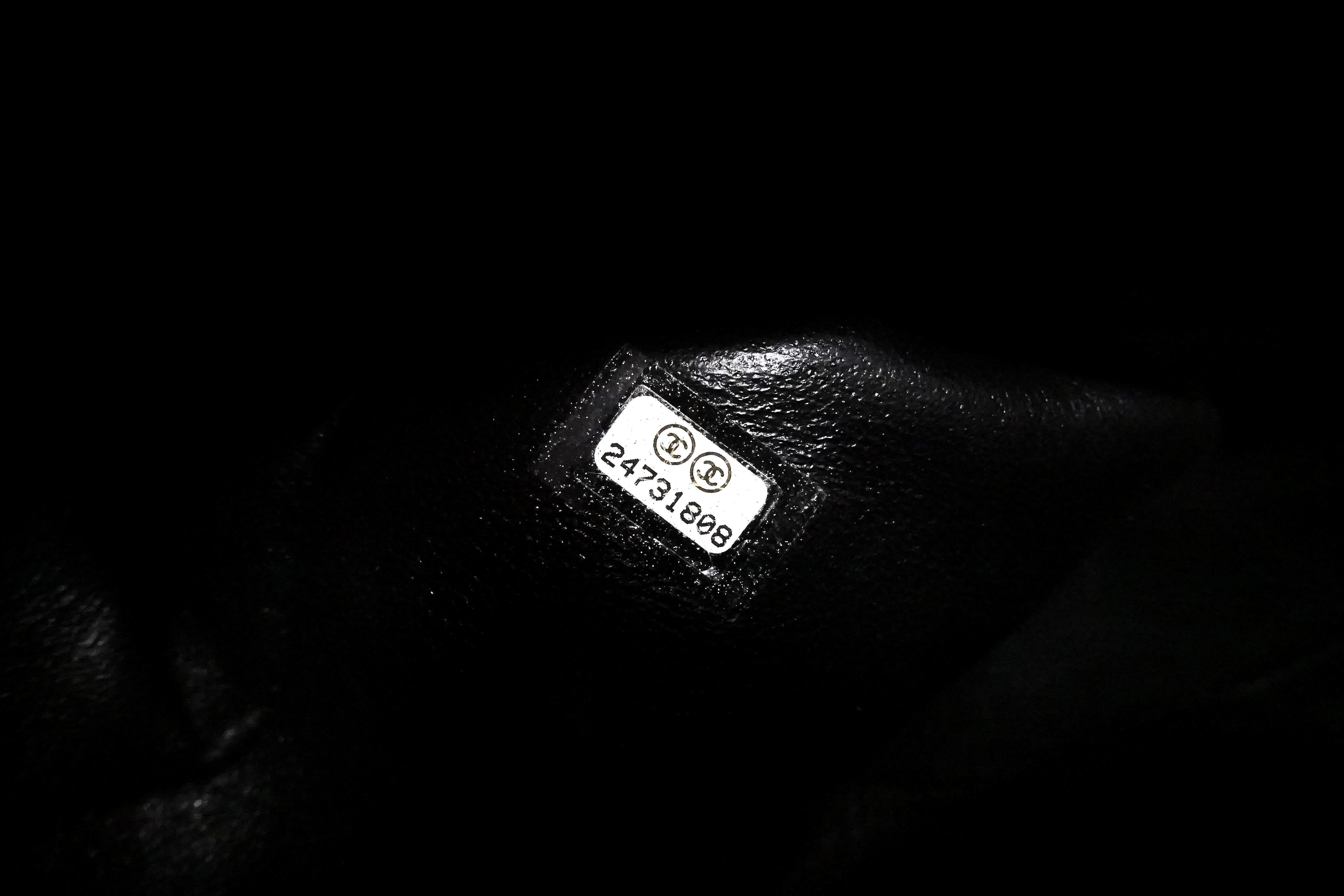 Chanel Coco Lizard Handle Bag