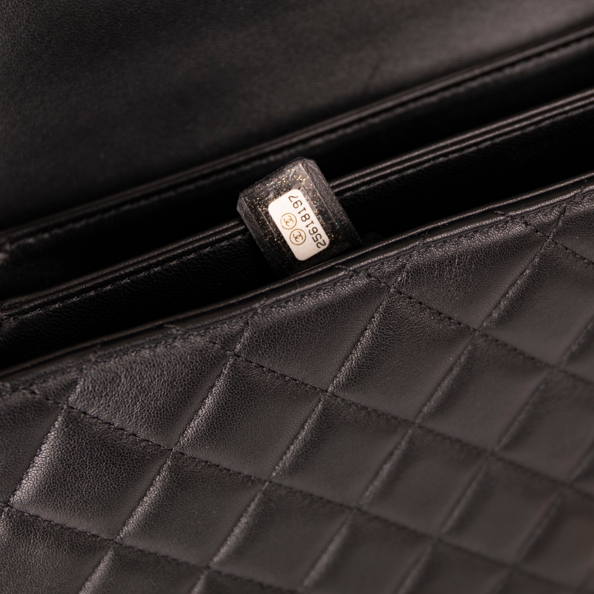 Chanel Medium Citizen Chic Flap Bag