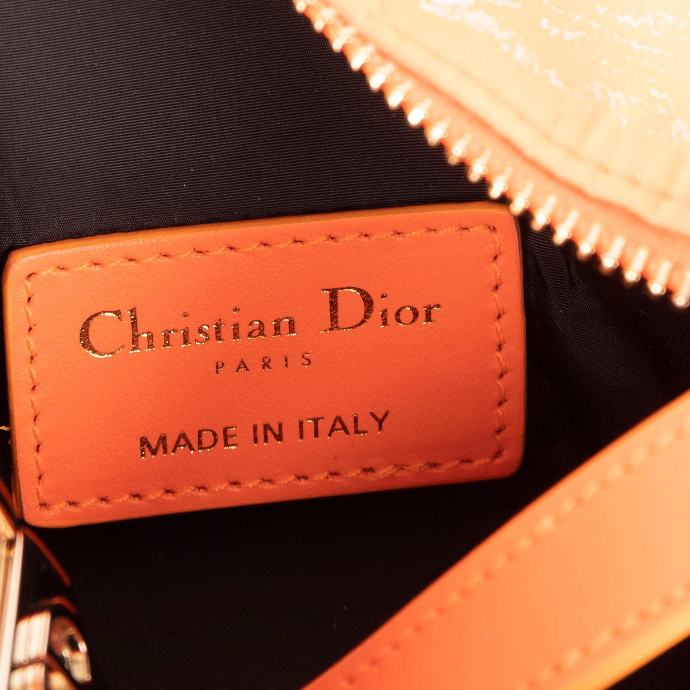 Christian 2022 Dior Toile de Jouy DiorTravel Nomad Pouch w/ Box