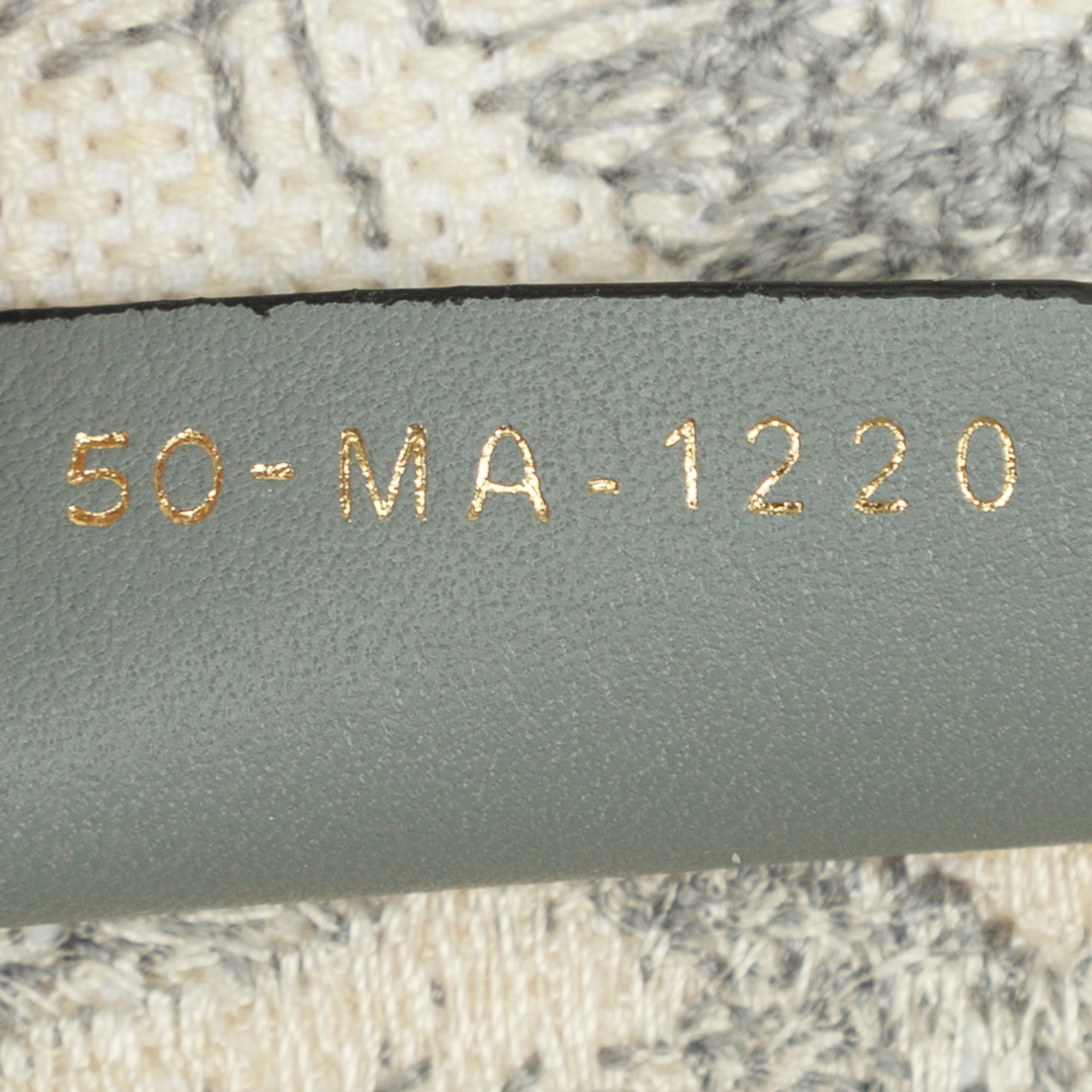 Christian Dior 2020 Medium Toile de Jouy Reverse Book Tote