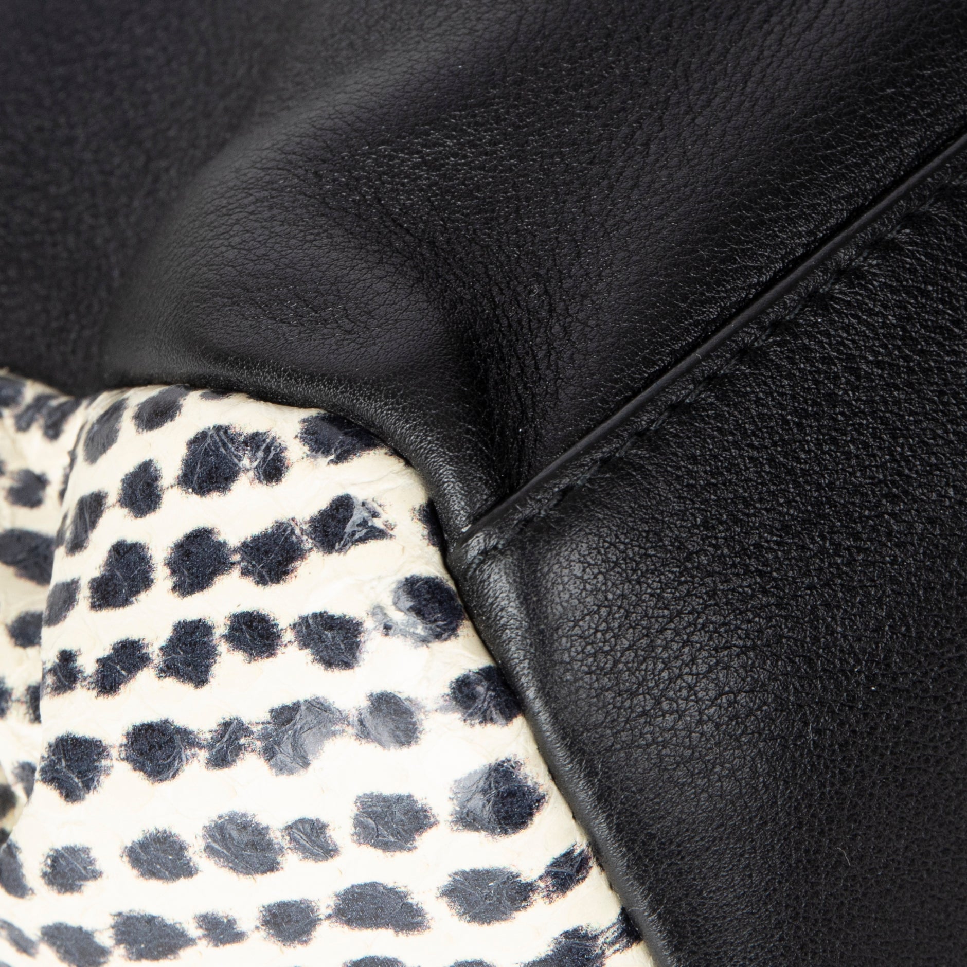 Christian Dior Large Python-Trimmed Diorling Bag