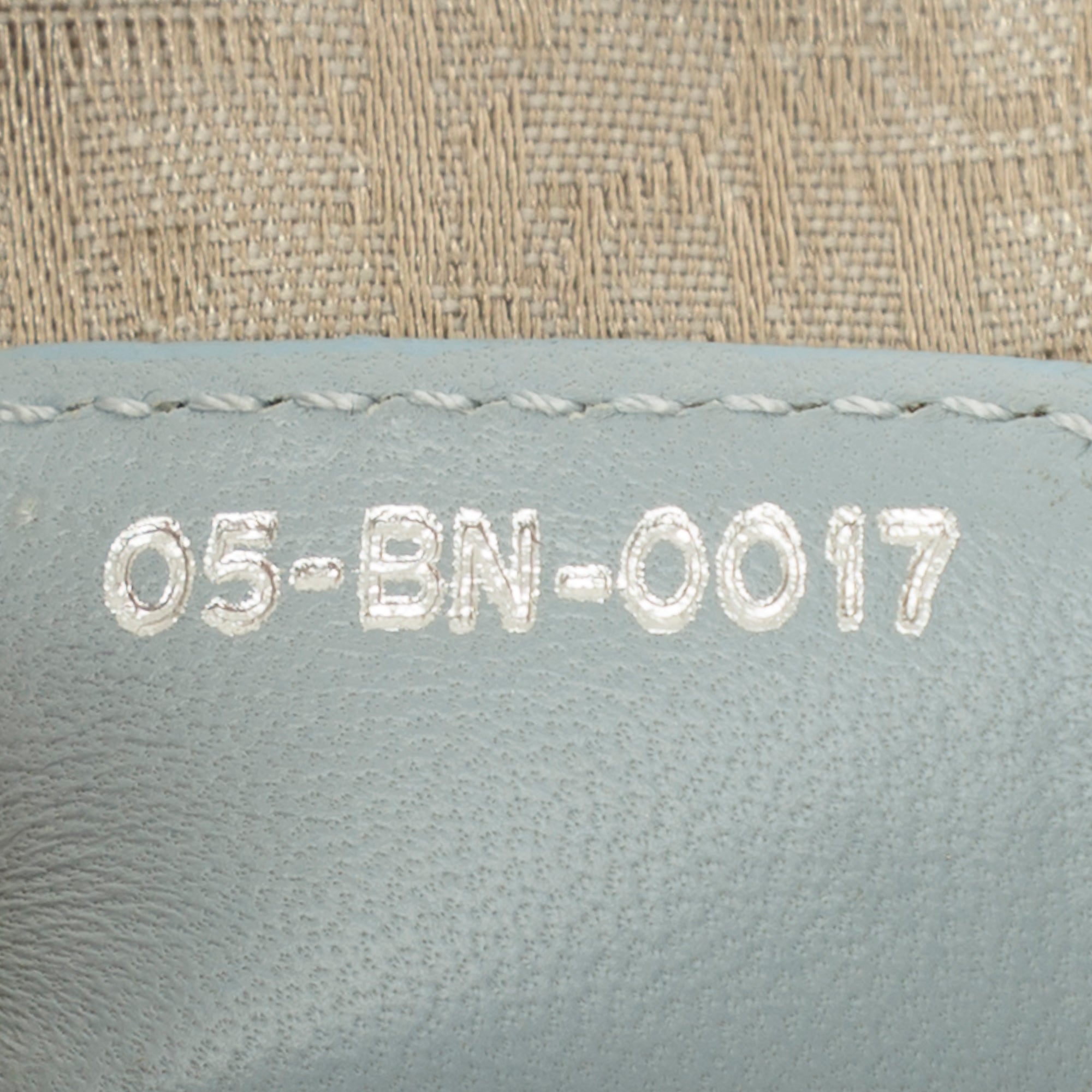 Christian Dior Medium Lady Dior Soft Hobo