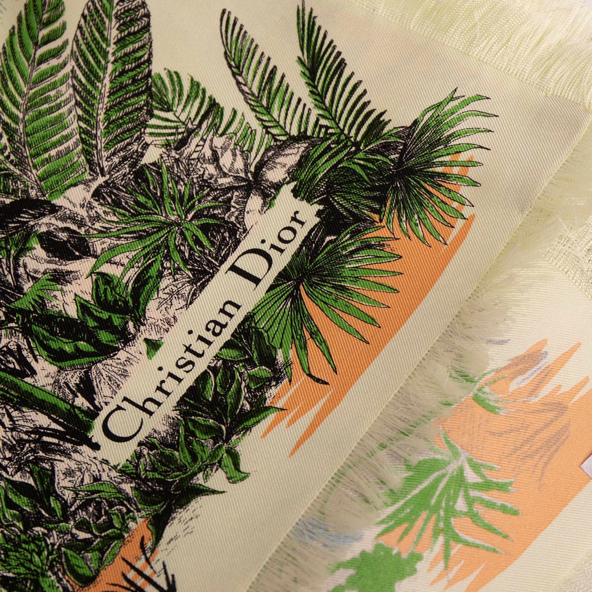 Christian Dior Printed Silk Scarf w/ Box – OLIVER'S