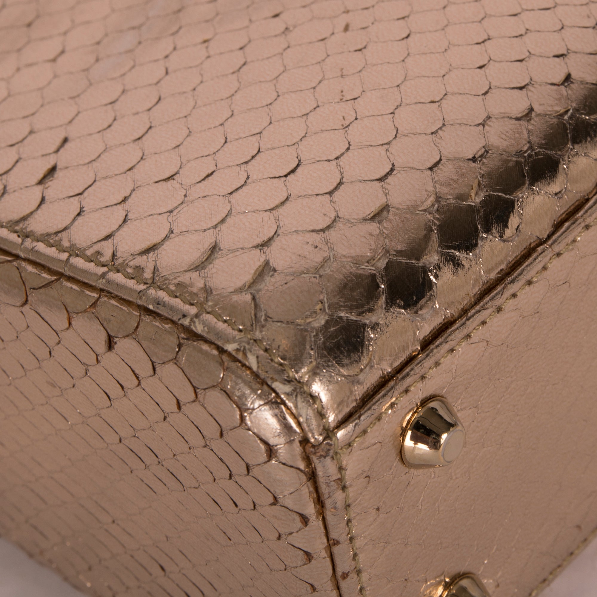 Christian Dior Python Mini Lady Dior Bag