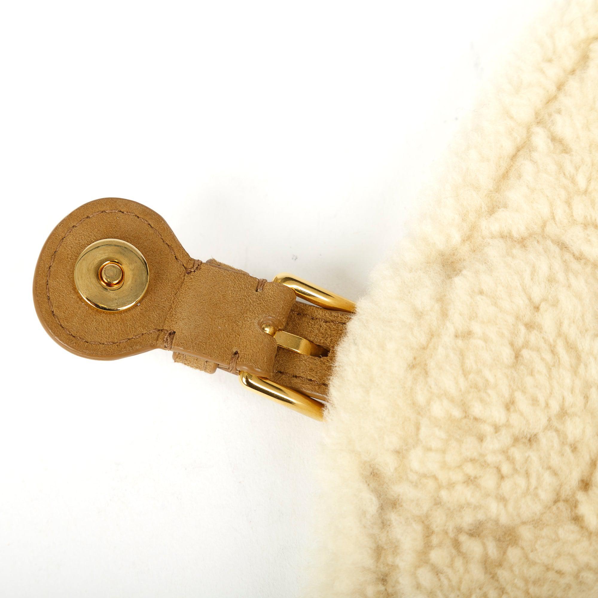 Christian Dior Small Shearling Bobby Crossbody Bag