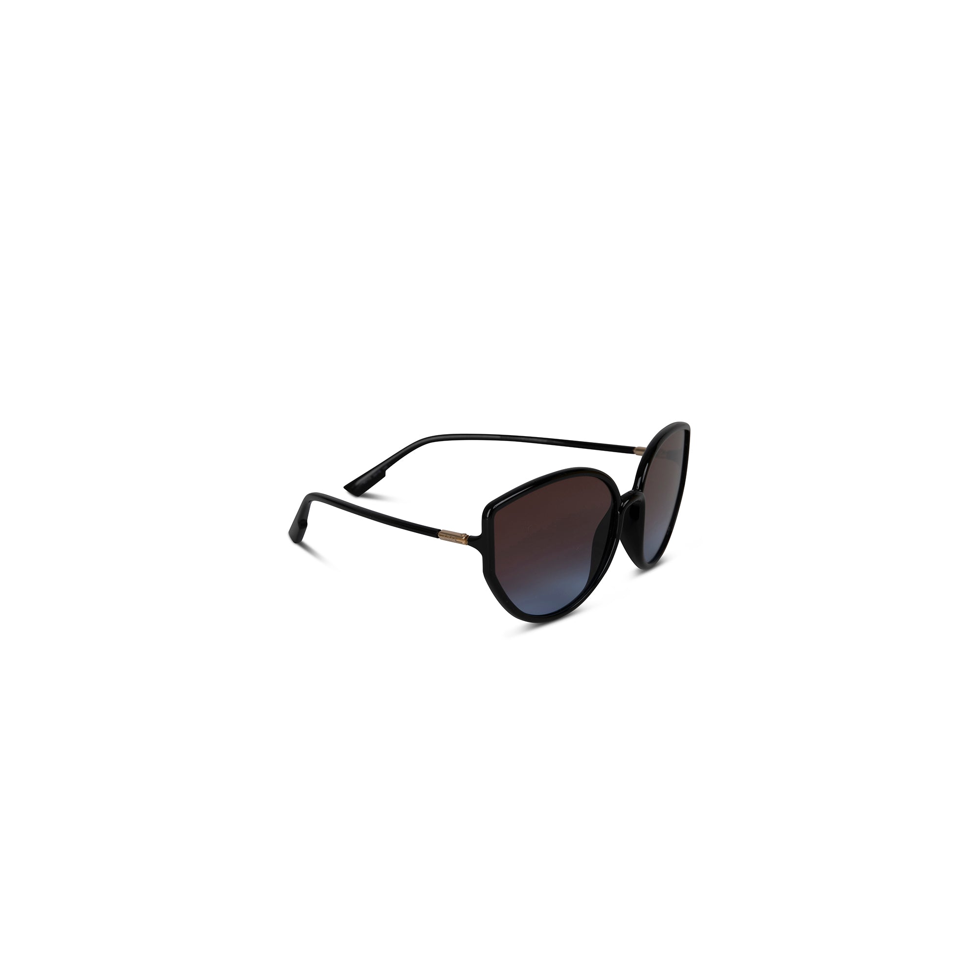 Christian Dior SoStellaire1 Oversize Sunglasses