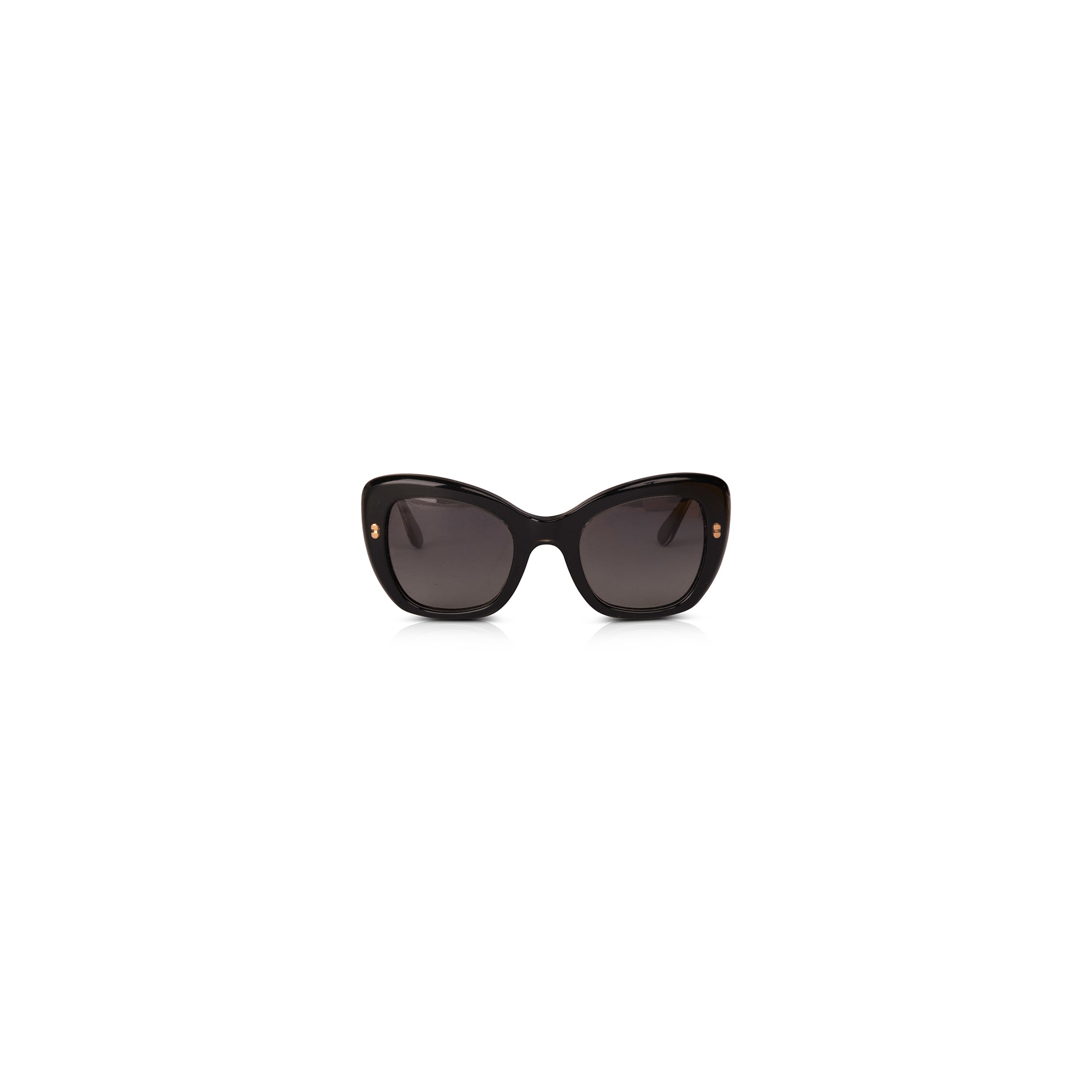 Dolce & Gabbana DG4205 Polarized Sunglasses w/ Leather Case