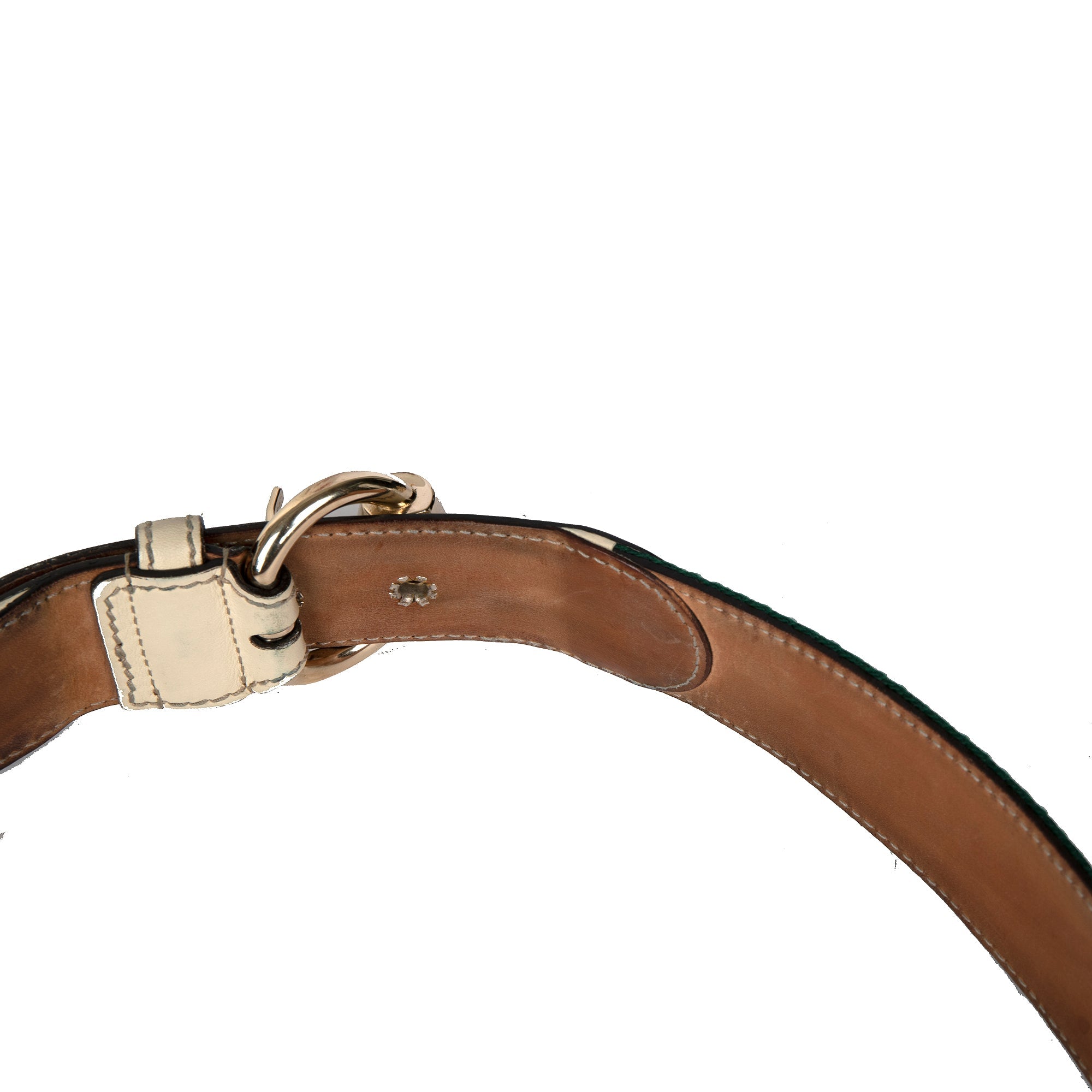Gucci Web Belt with Horsebit Buckle