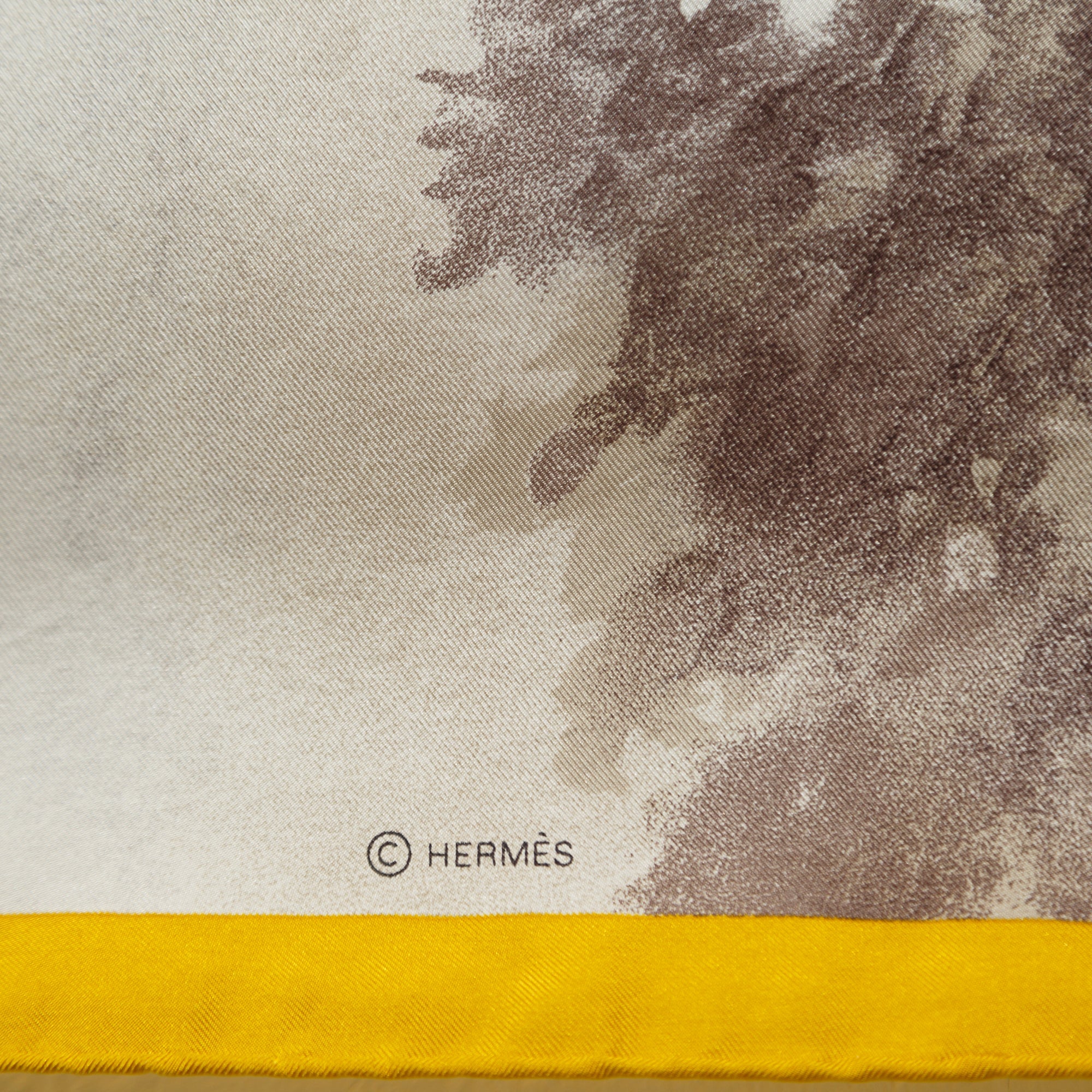 Hermes Acynonyx Jubatus Wash Scarf 140 w/ Box