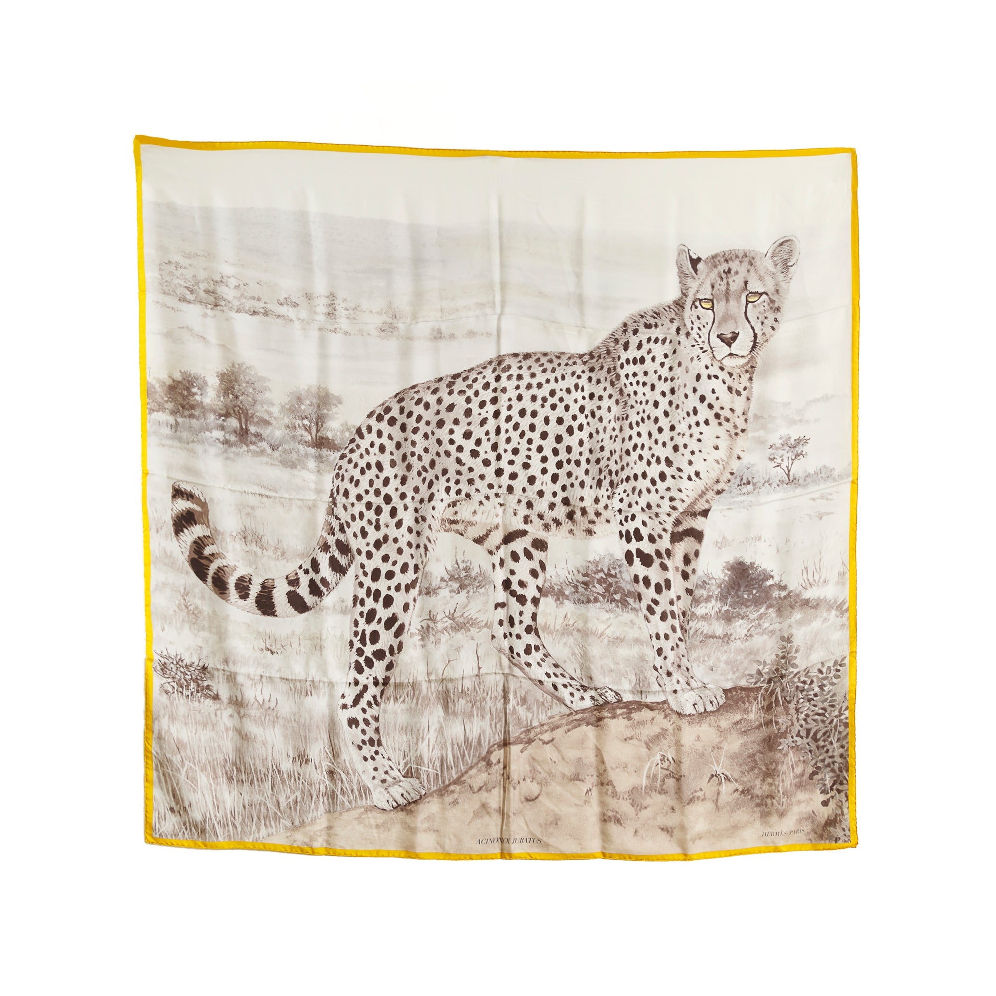 Hermes Acynonyx Jubatus Wash Scarf 140 w/ Box