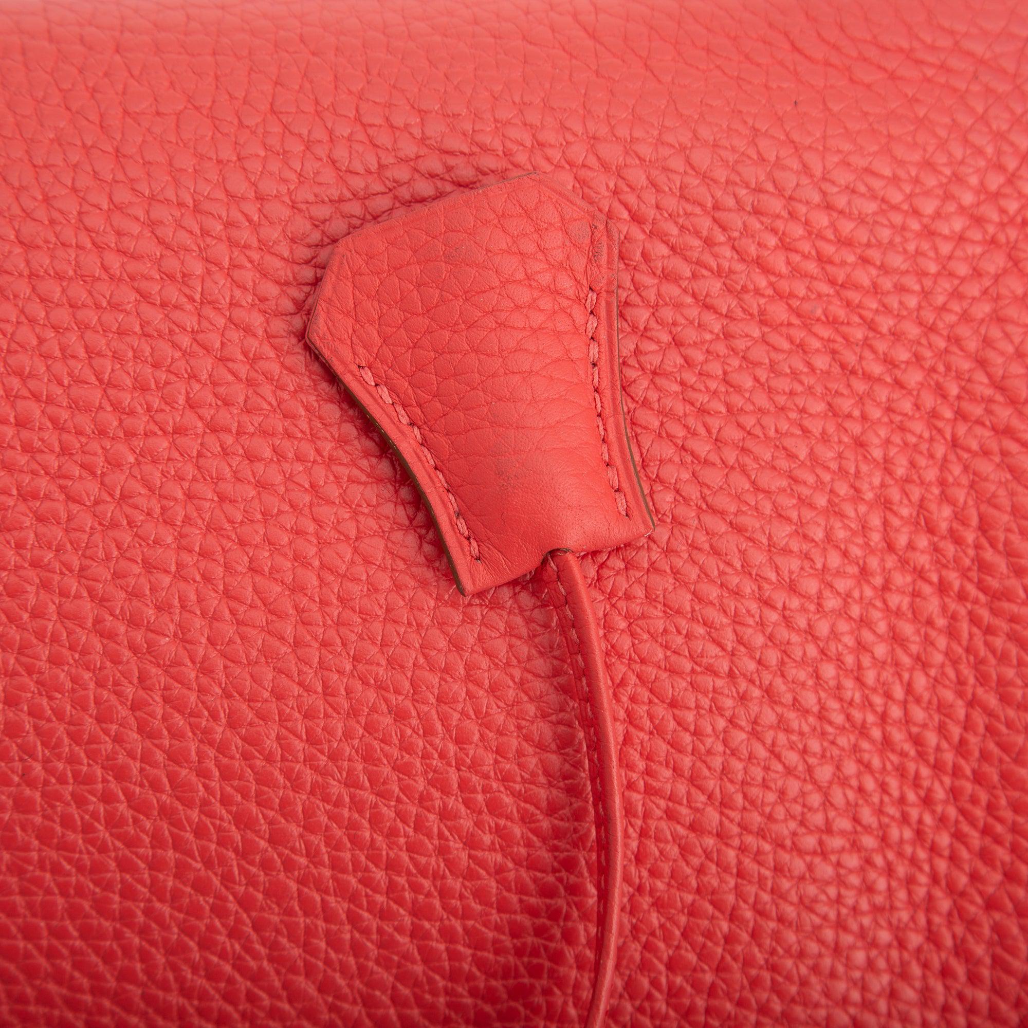 Hermes Clemence Birkin 30